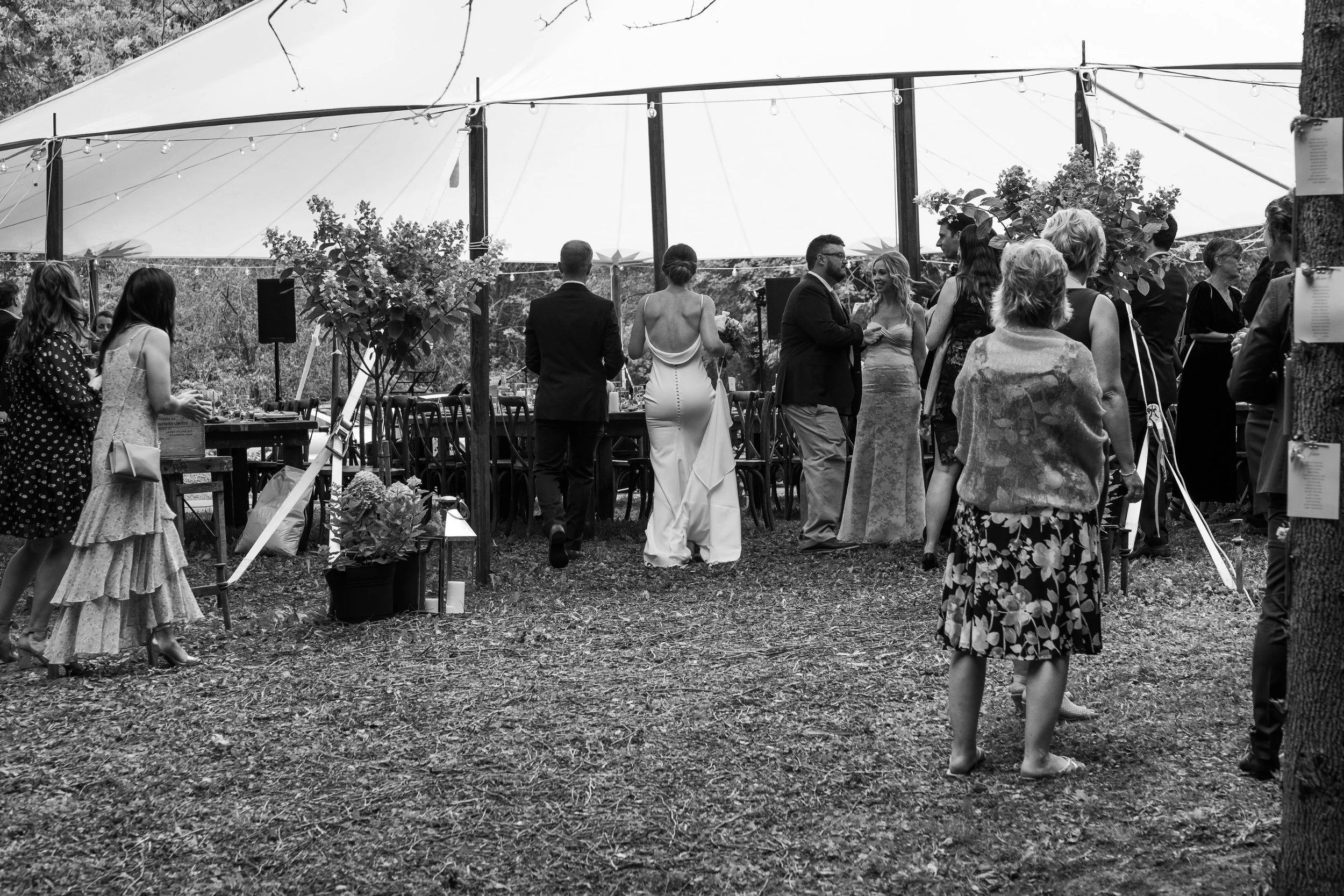2021.01.Nicole.Adam.Wedding.Reception.0001.jpg