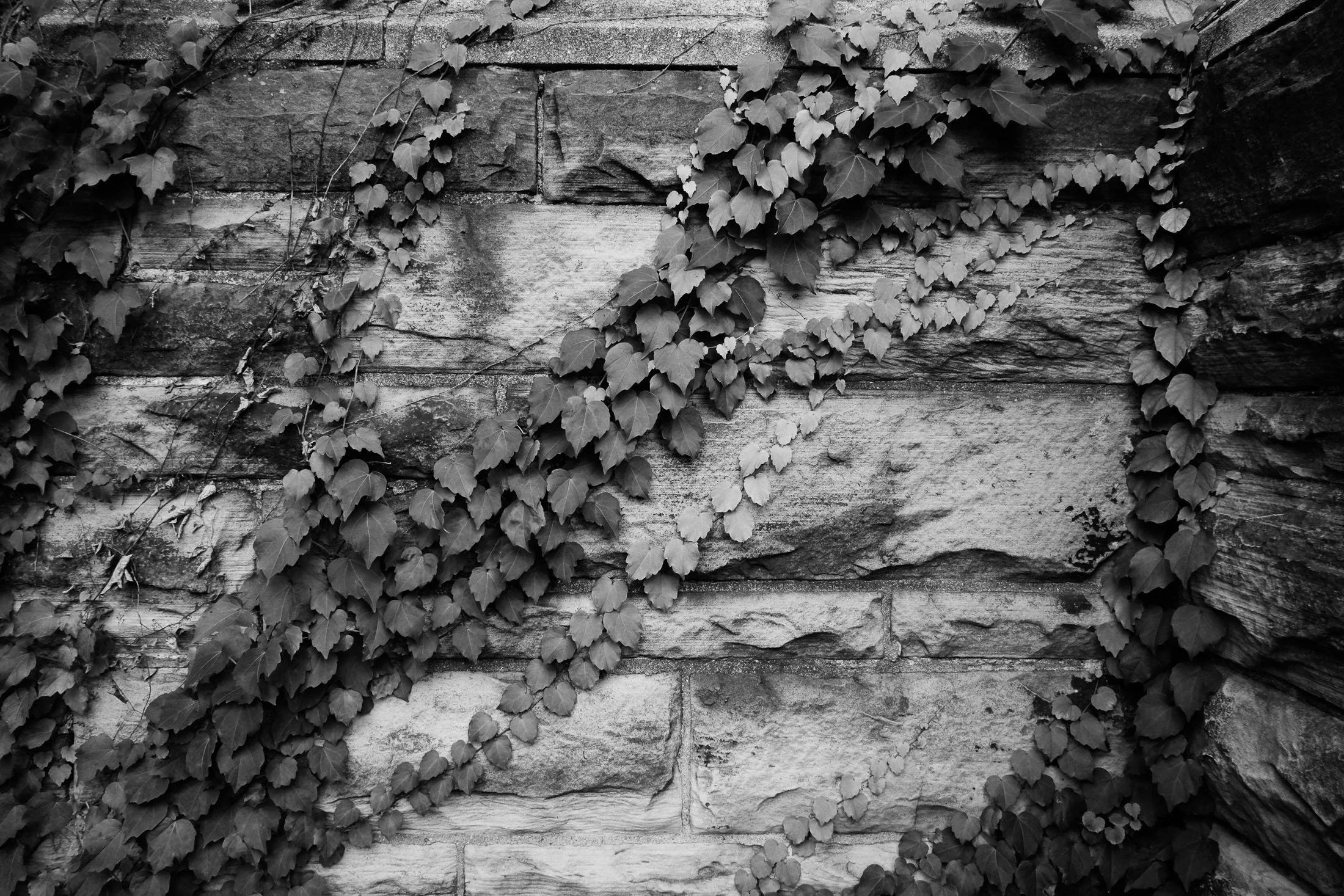 Detail Knox College Wedding by Toronto Documentary Wedding Photographer Andreas Avdoulos * andreasphoto.ca Photographed on Fuji Cameras