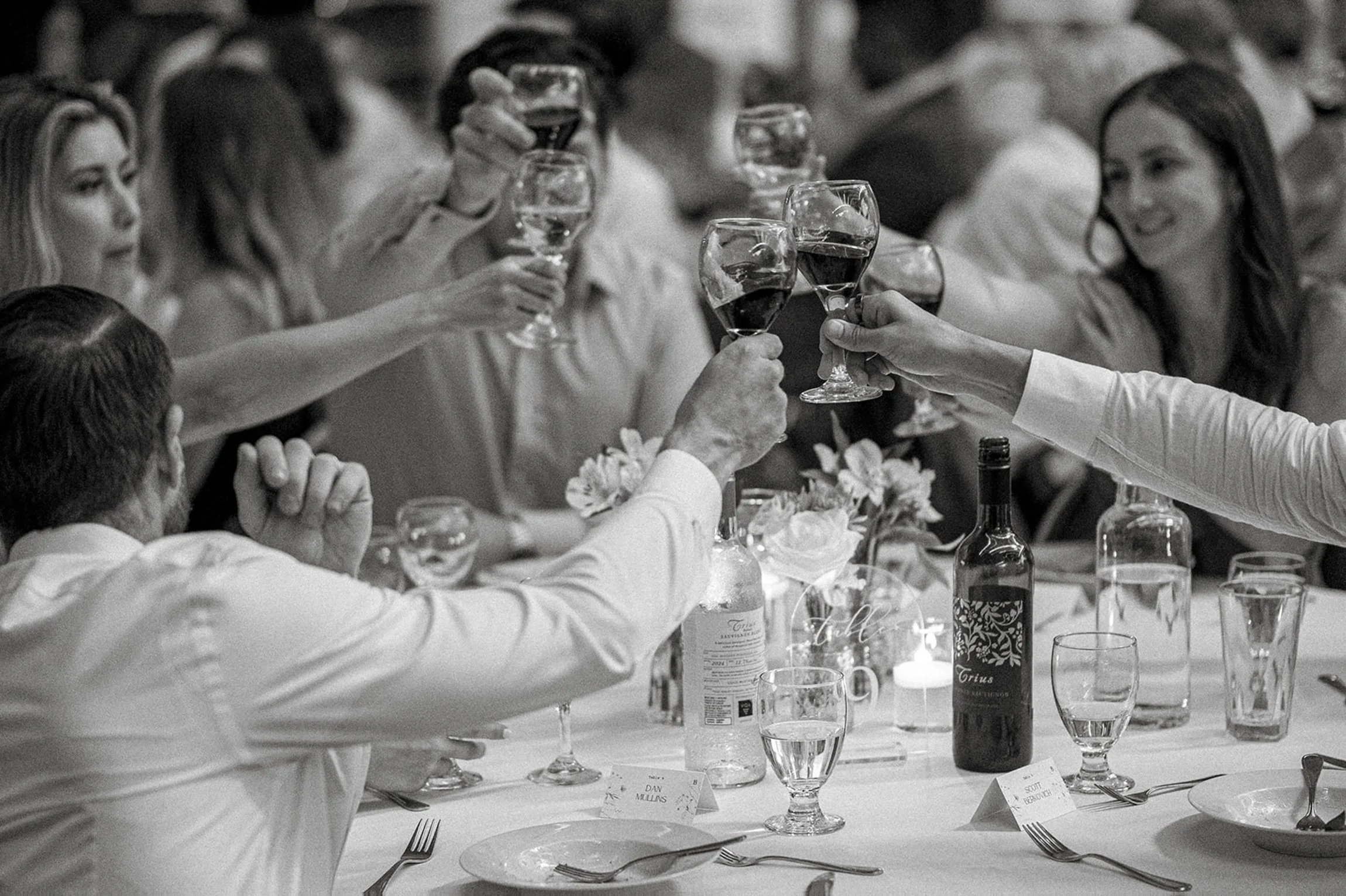 hamilton_ontario_wedding_venue_photos_the_rock_garden_andreasphoto.ca_documentary_style_black_and_white-96.jpg