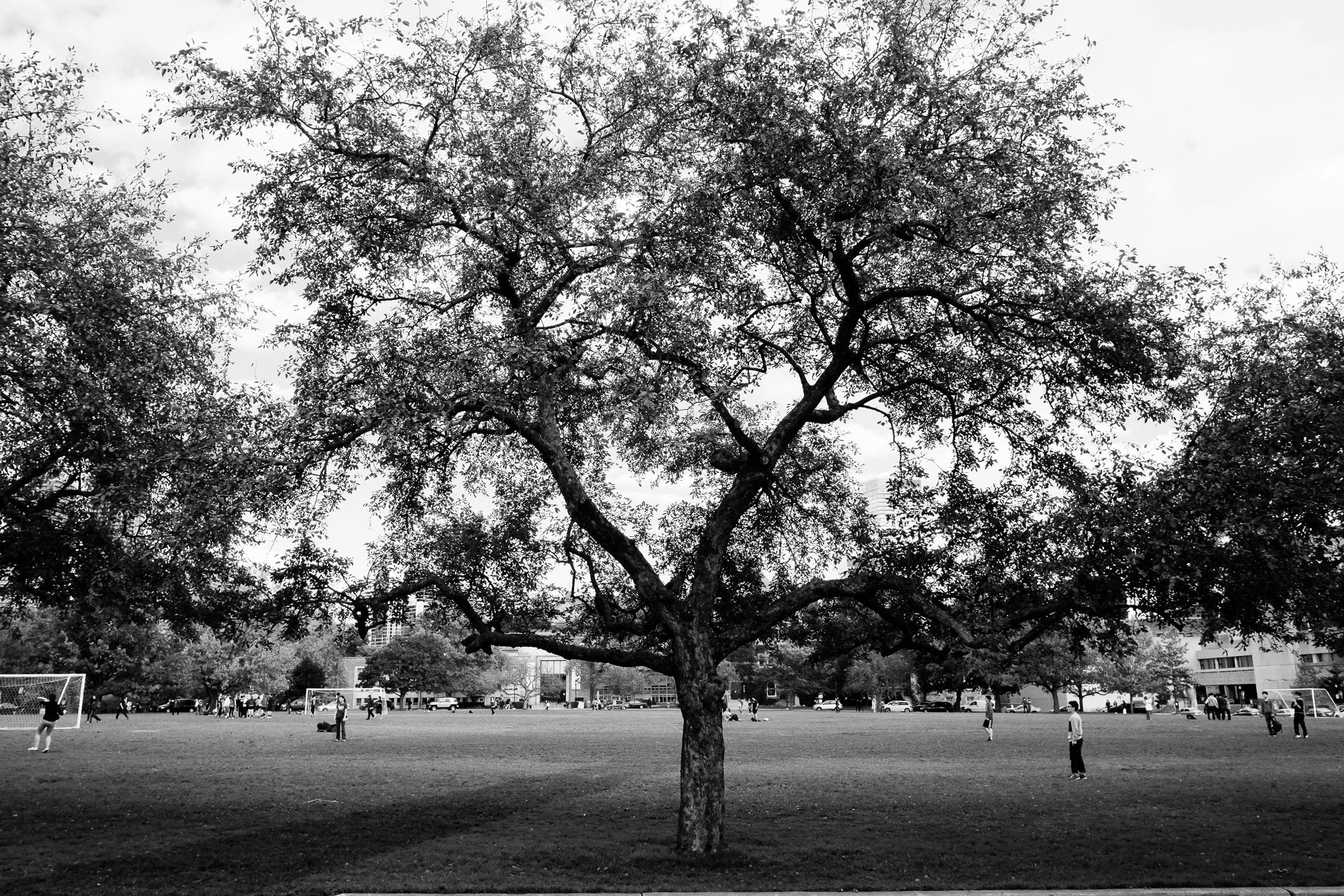 Front of Knox College Wedding by Toronto Documentary Wedding Photographer Andreas Avdoulos * andreasphoto.ca Photographed on Fuji Cameras
