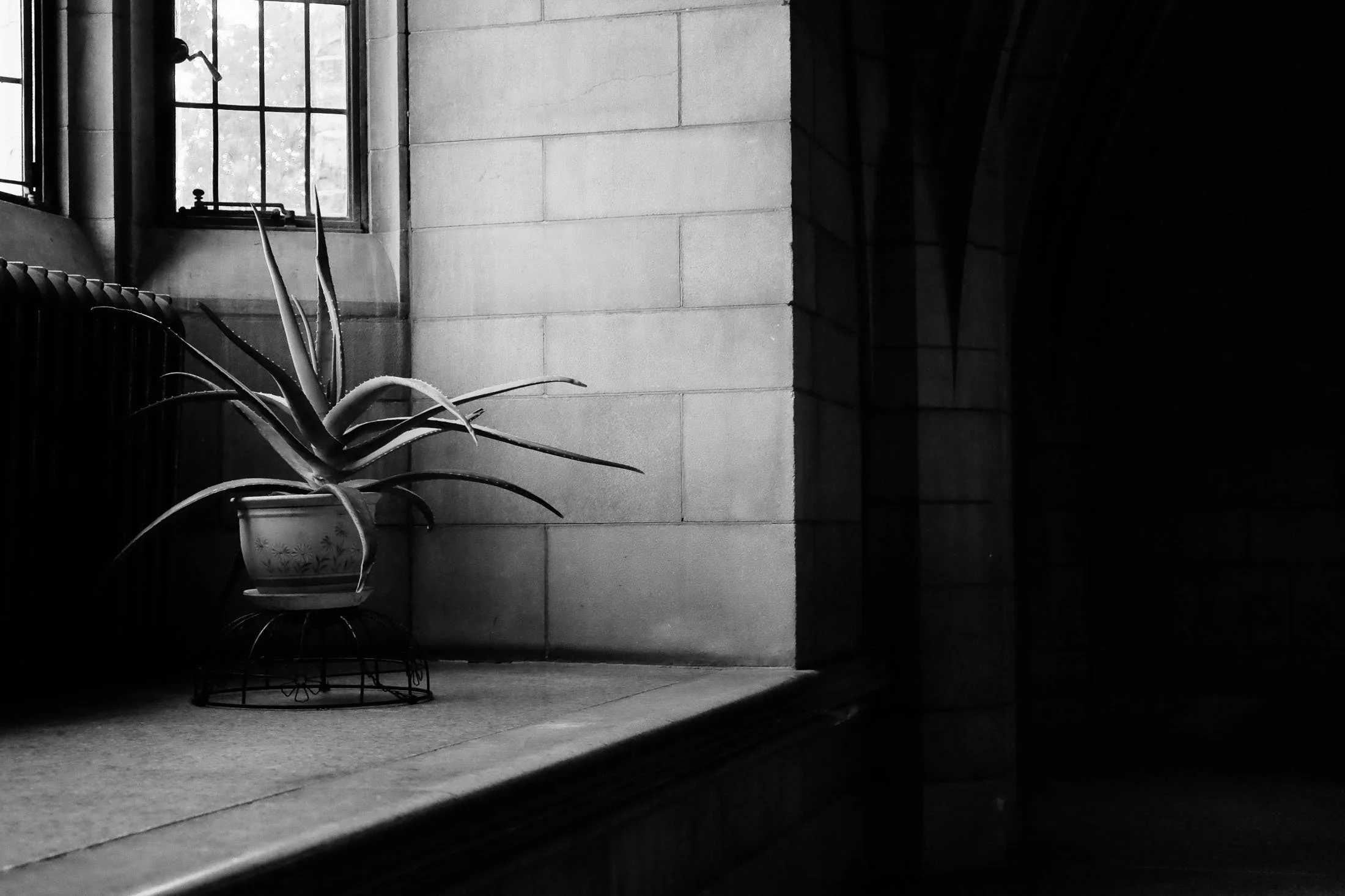 Knox College Wedding by Toronto Documentary Wedding Photographer Andreas Avdoulos * andreasphoto.ca Photographed on Fuji Cameras