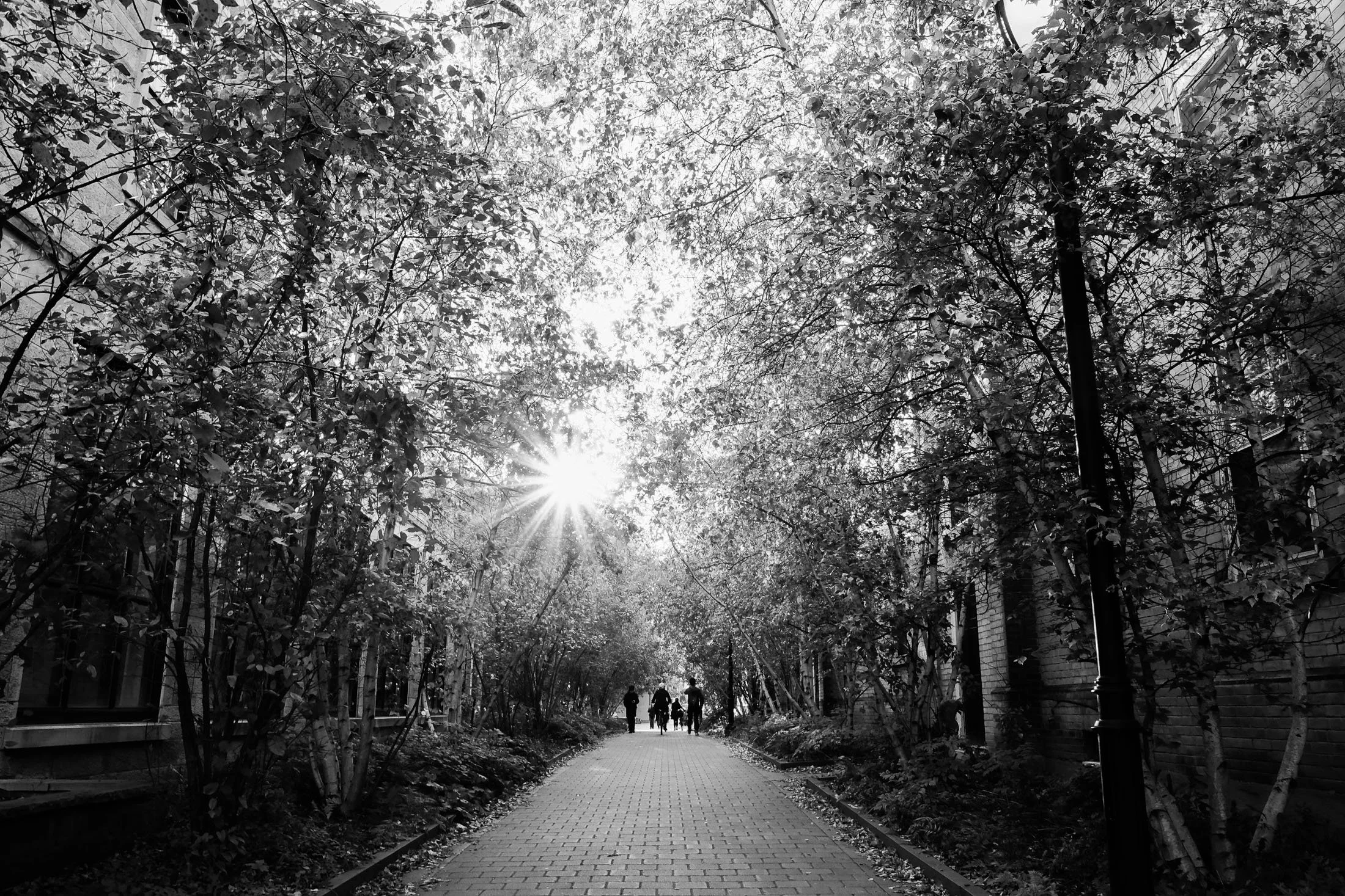 Walkway Knox College Wedding by Toronto Documentary Wedding Photographer Andreas Avdoulos * andreasphoto.ca Photographed on Fuji Cameras