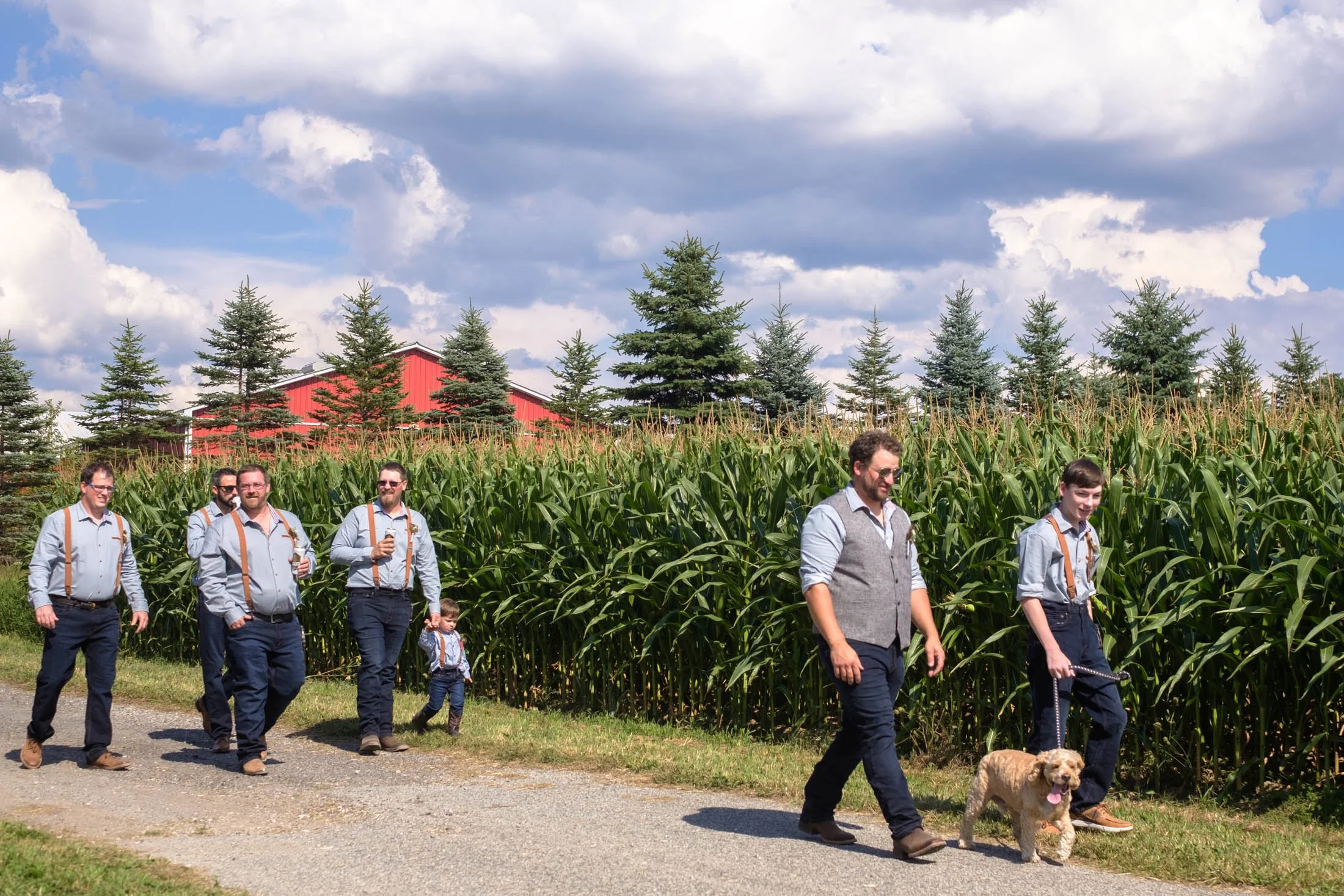 fergus-ontario-wedding-barn-andreasphoto-1.jpg