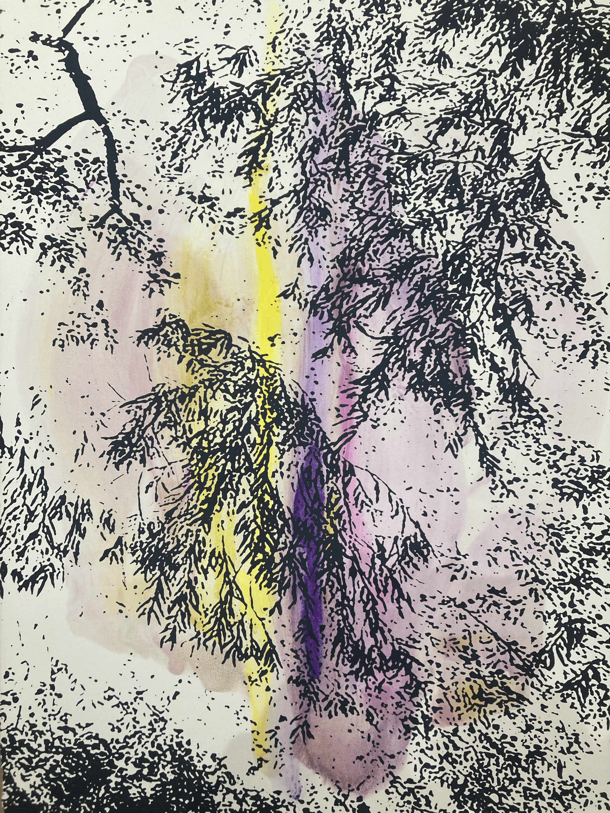 tempImage2dmNX5.gif