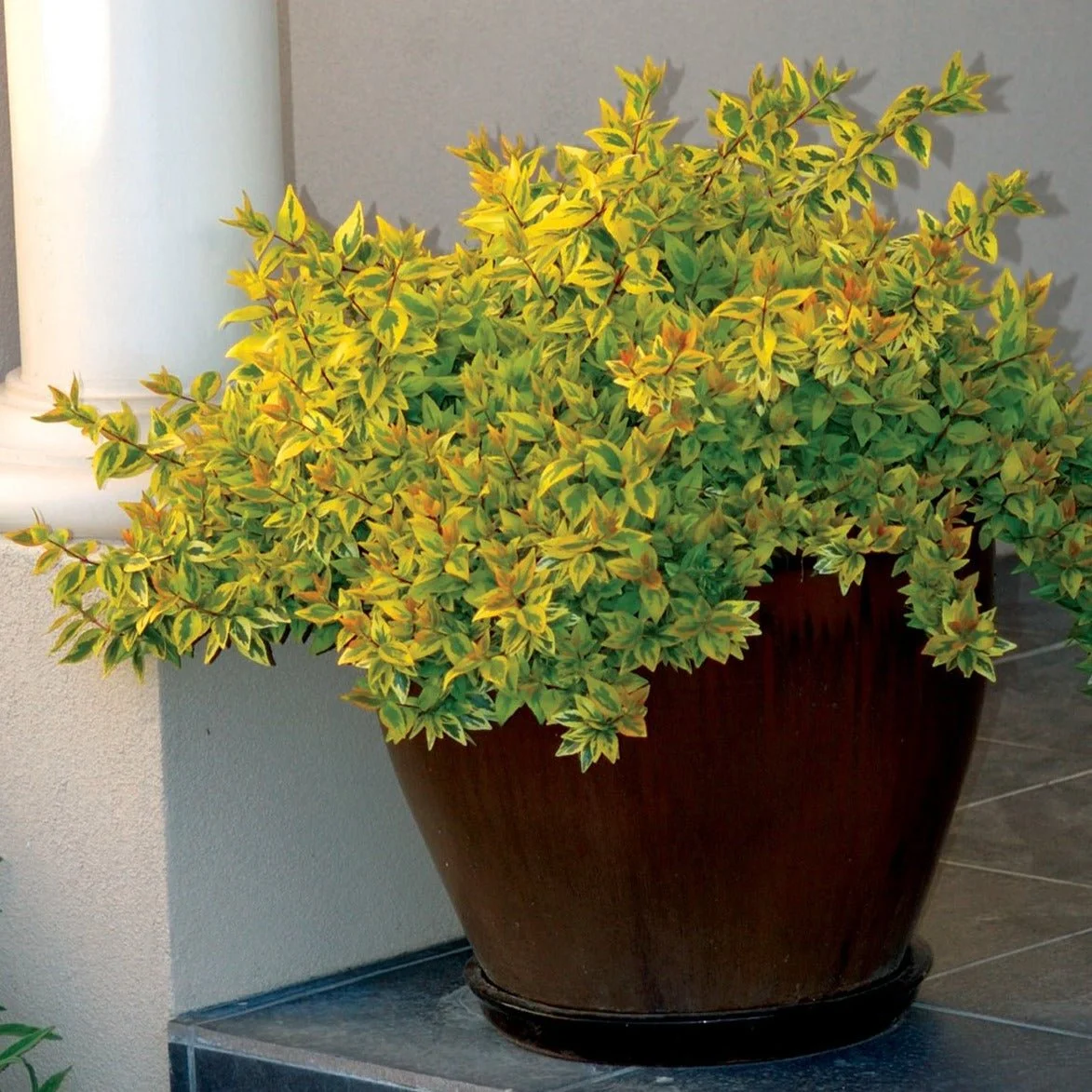 How do I submit an architectural request?