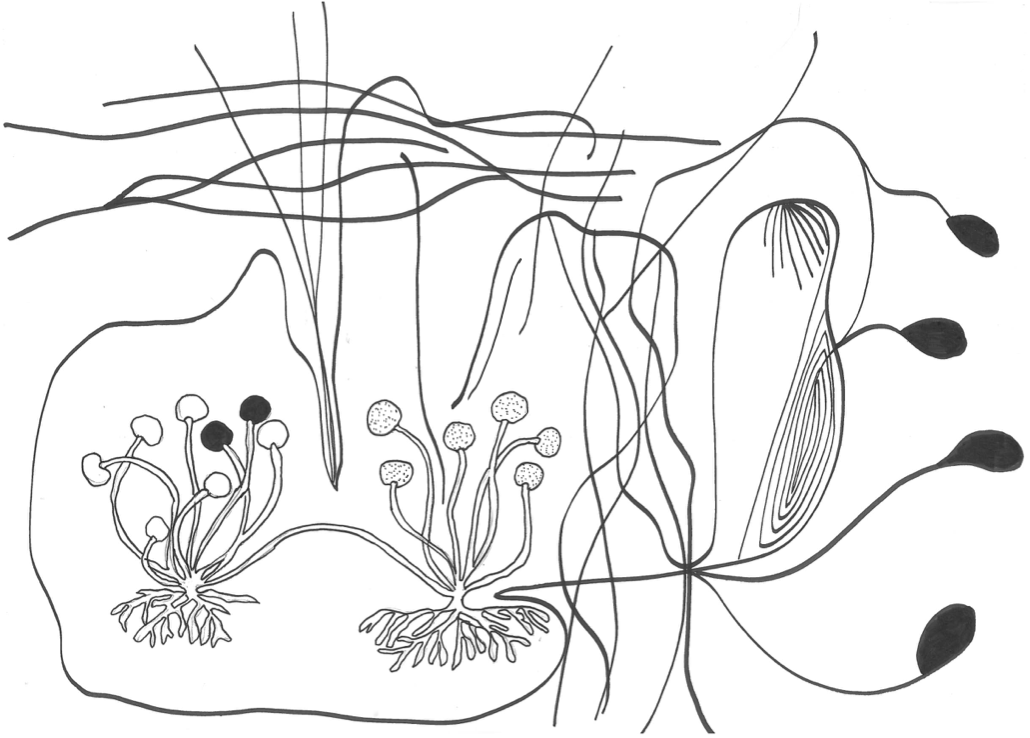 Screenshot 2021-08-28 at 21.46.09.png