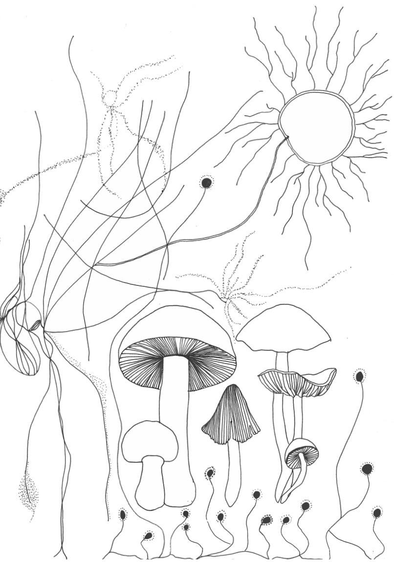 Screenshot 2021-08-28 at 21.38.05.png