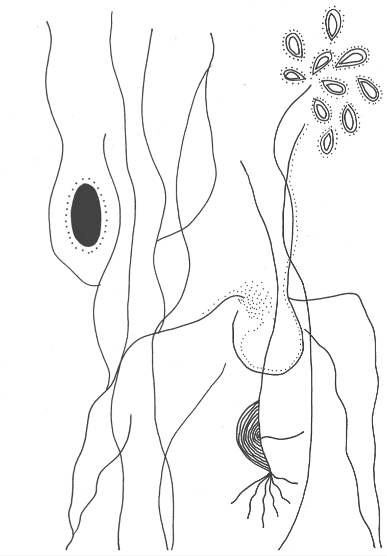 Screenshot 2021-08-28 at 21.37.35.png