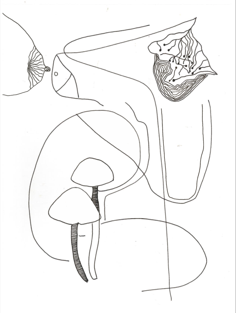 Screenshot 2021-08-28 at 21.37.05.png