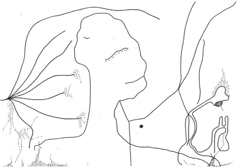 Screenshot 2021-08-28 at 21.44.07.png