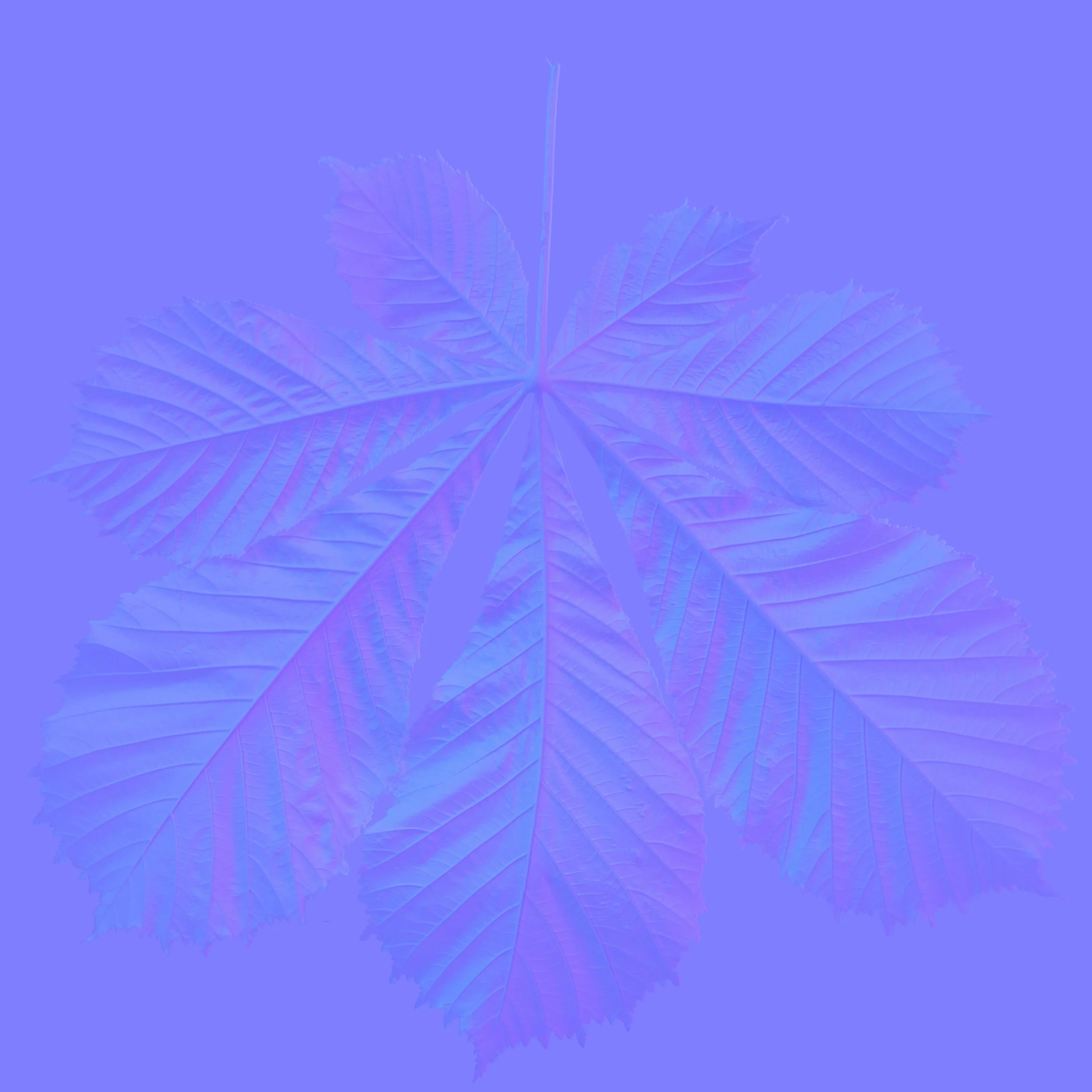 Chestnut_Back_Normal copy.jpg