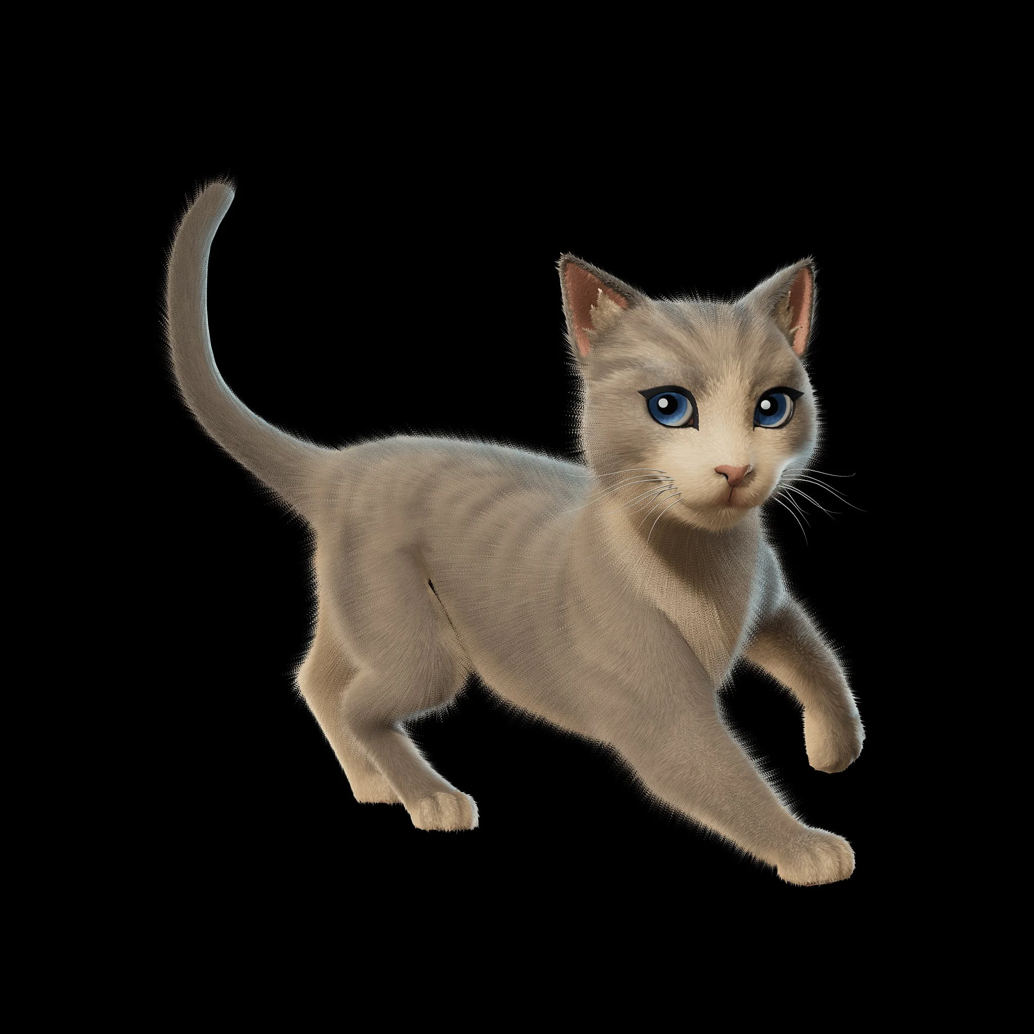 theBestCat.jpg