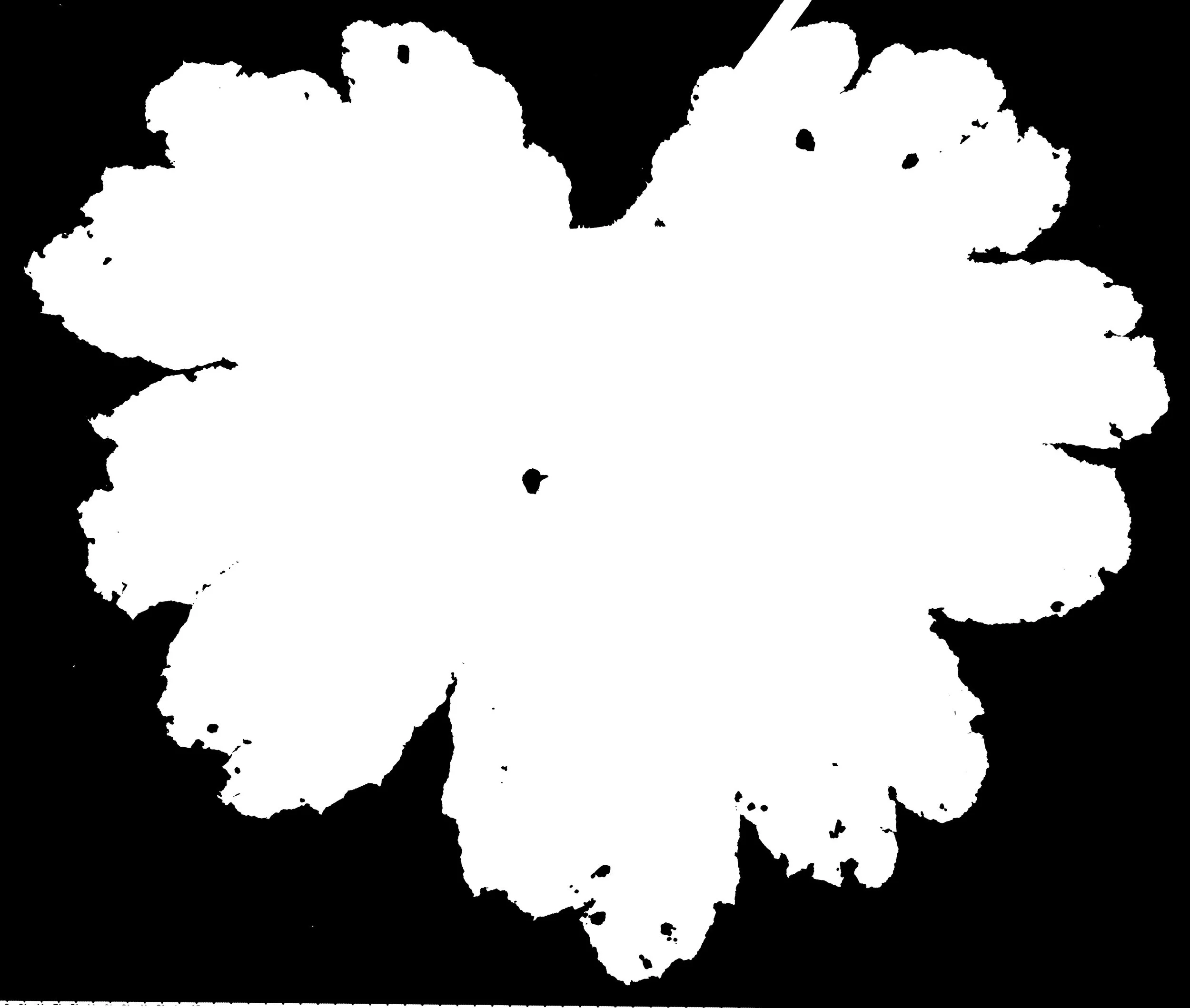 GiantRhubarbSmallWhole_Back_Opacity copy.jpg