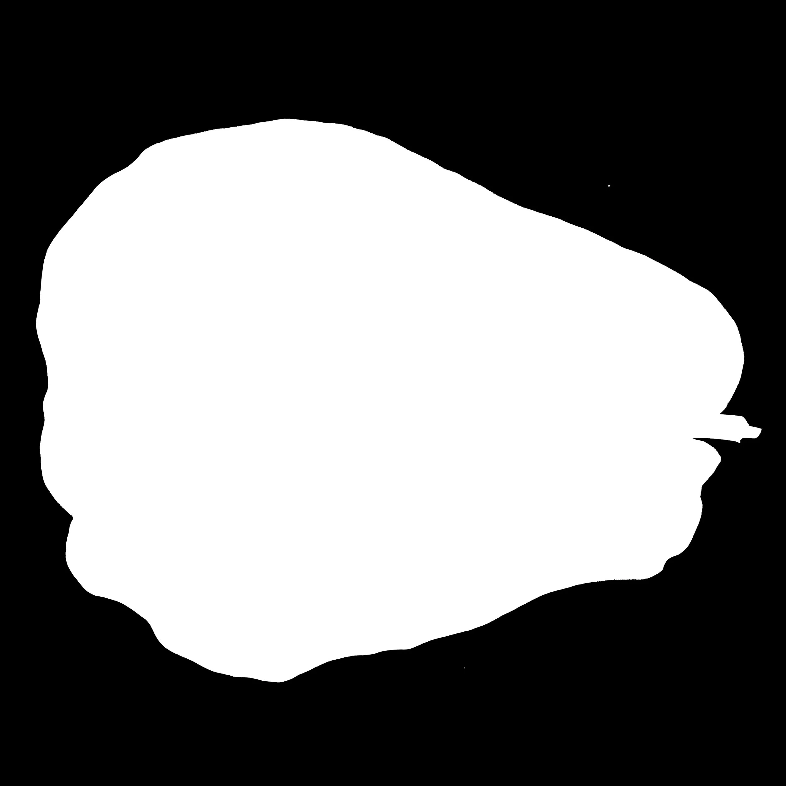 FiddleLeafFig_Back_Opacity copy.jpg