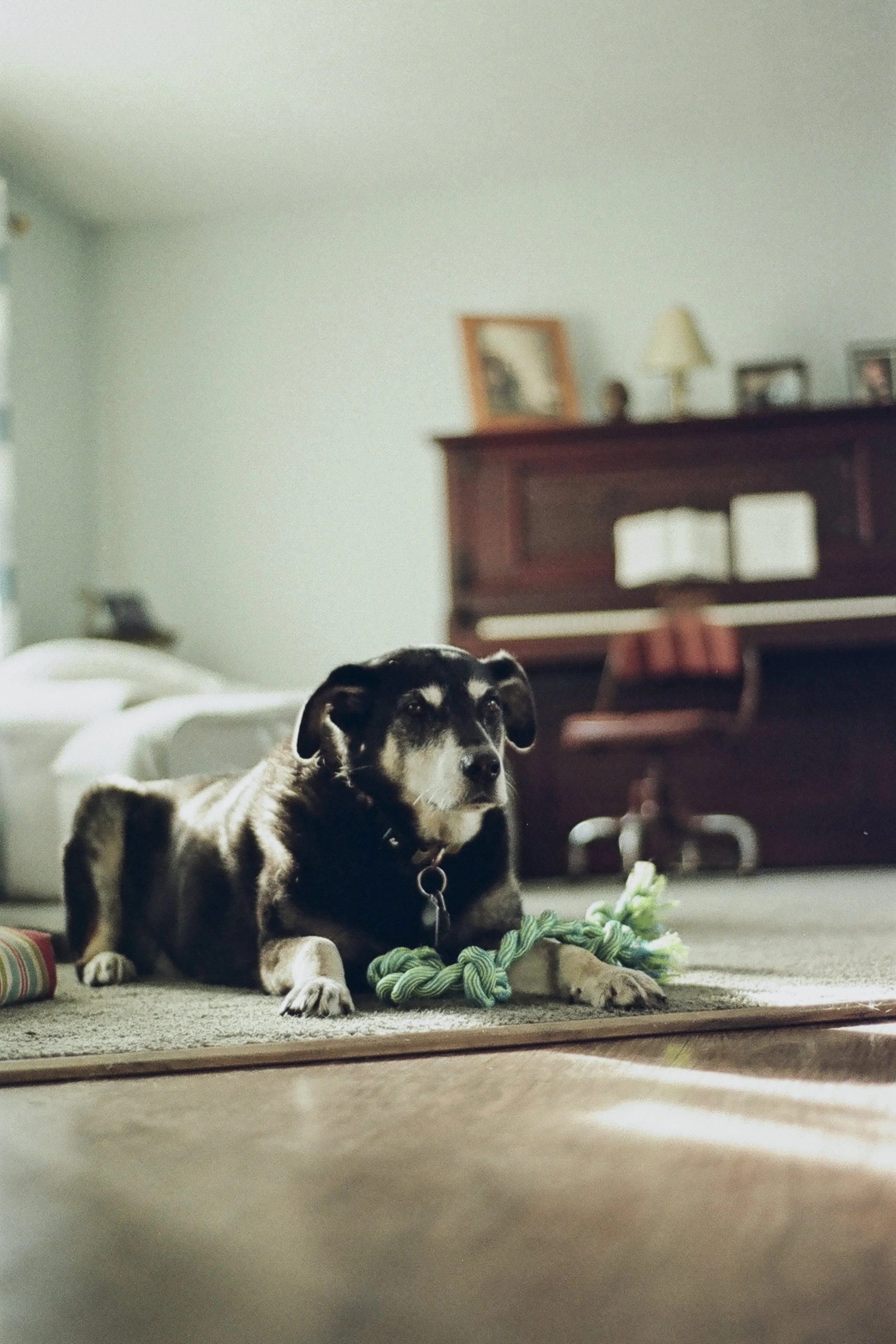 Fuzz Nov 2025 (1).jpg