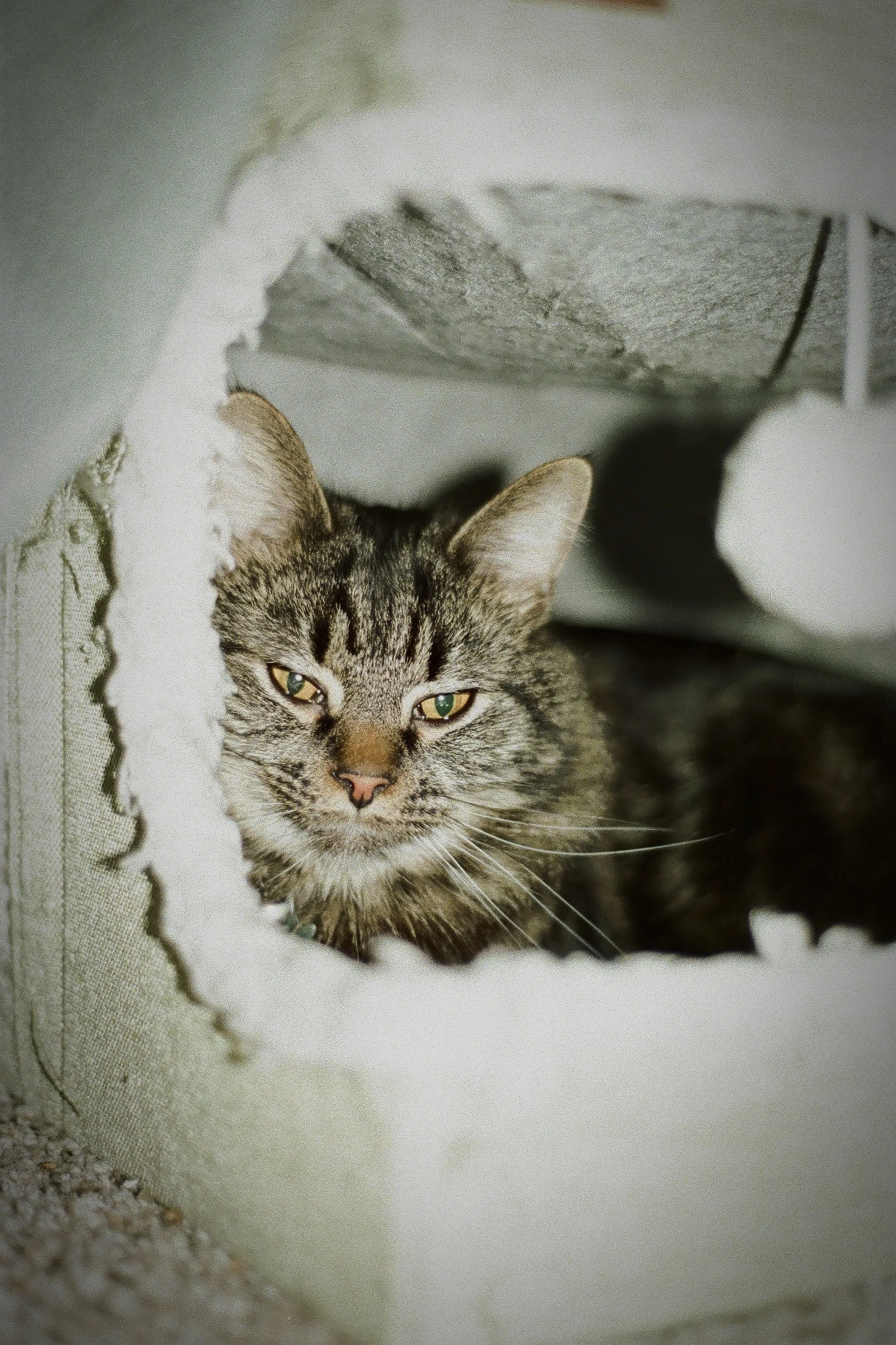 Skeeter Nov 2025 (3).jpg