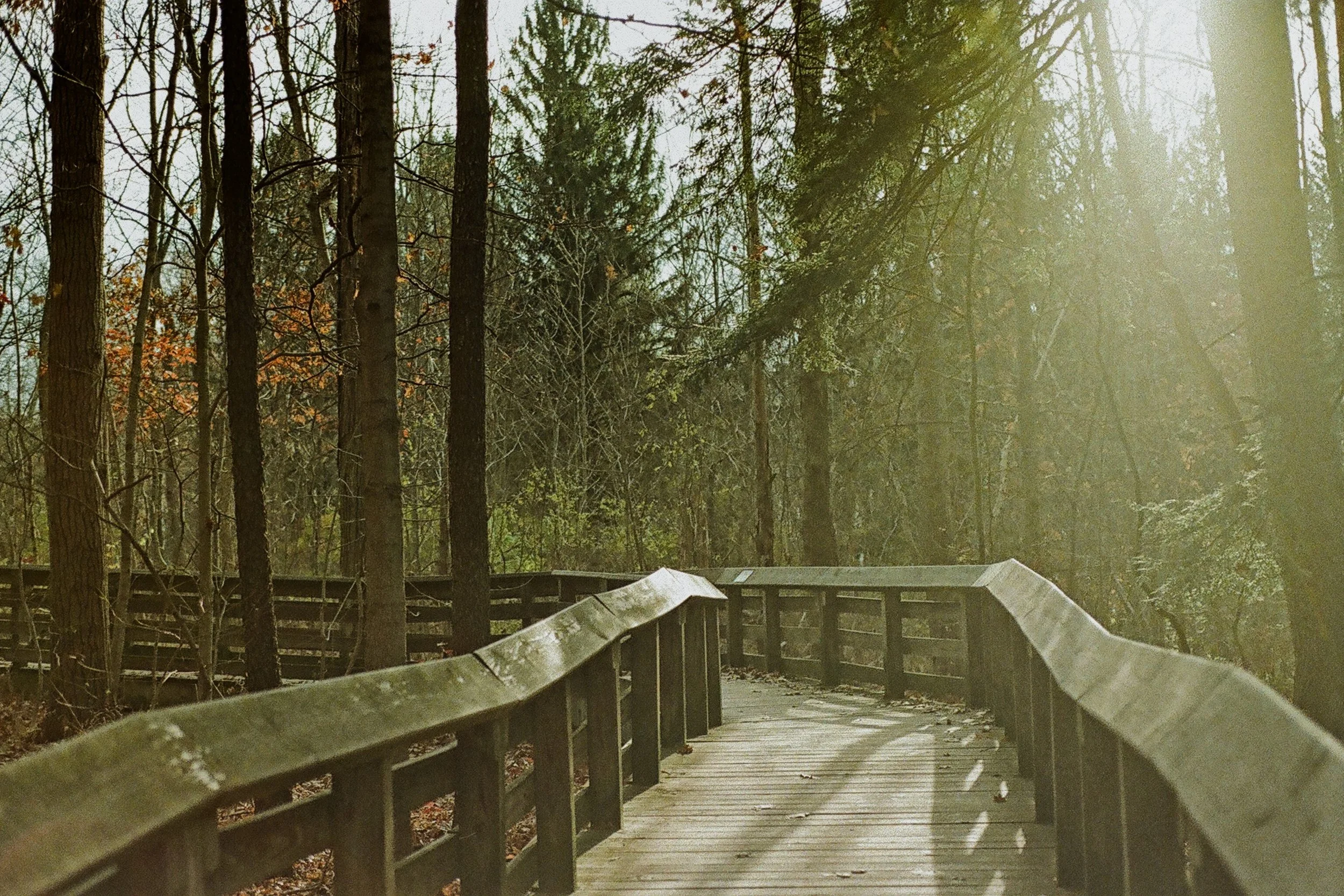 Brandywine Falls Nov 2025 (1).jpg