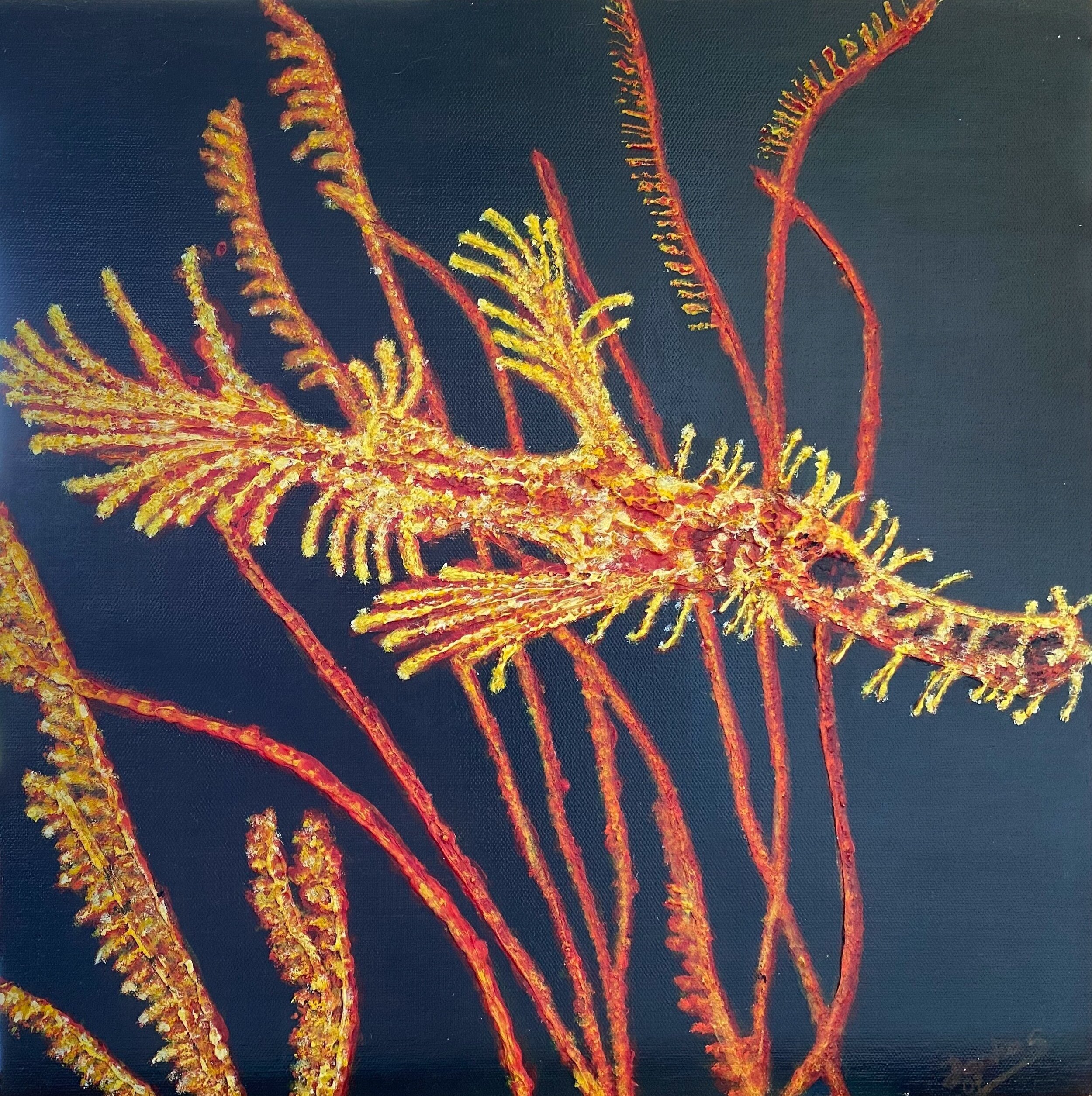 Fetzenfisch
40x40 Mischtechnik