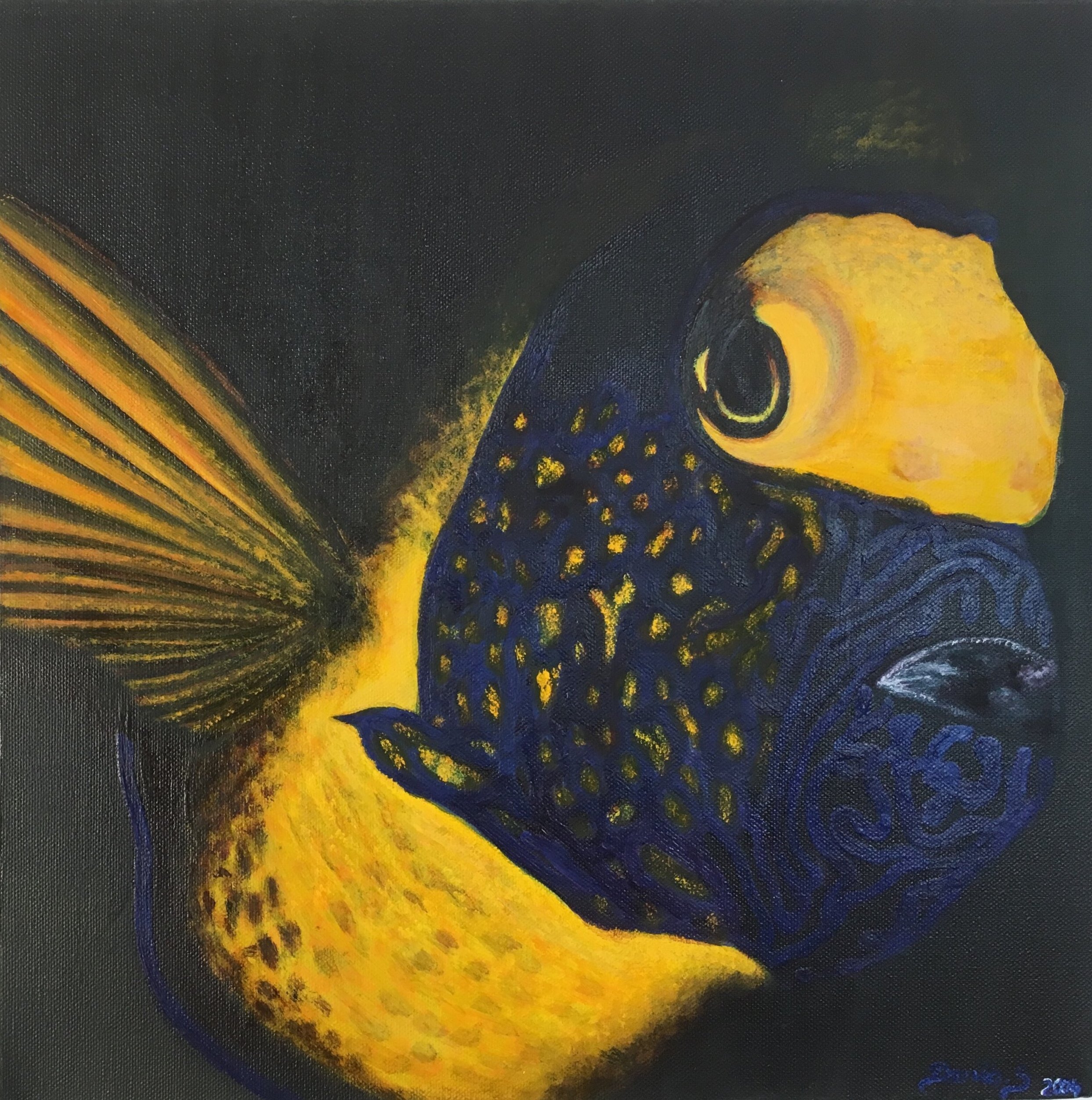 Kaiser Fisch
40x40 Mischtechnik