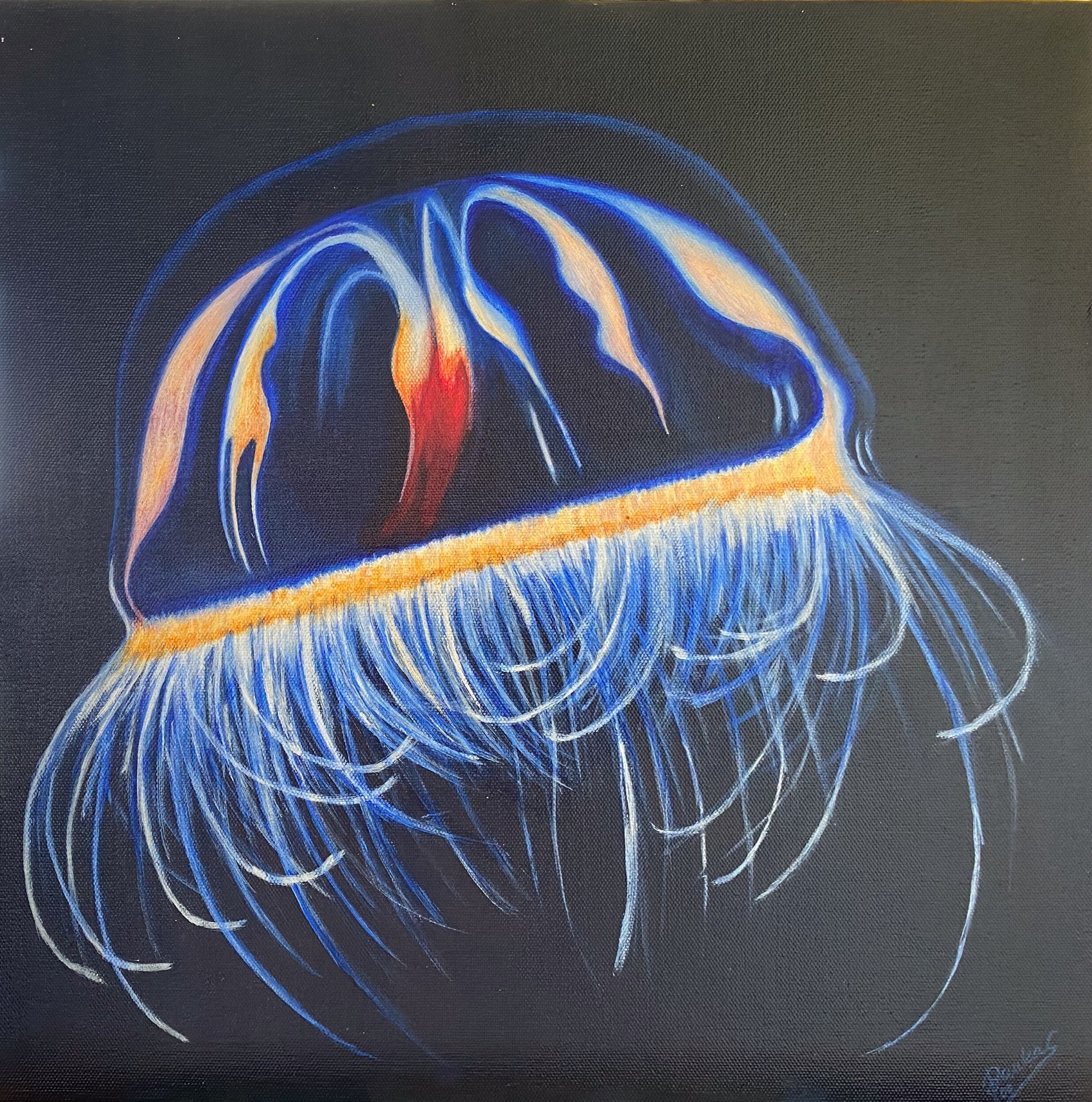 Kleine Qualle
40x40 Mischtchnik
