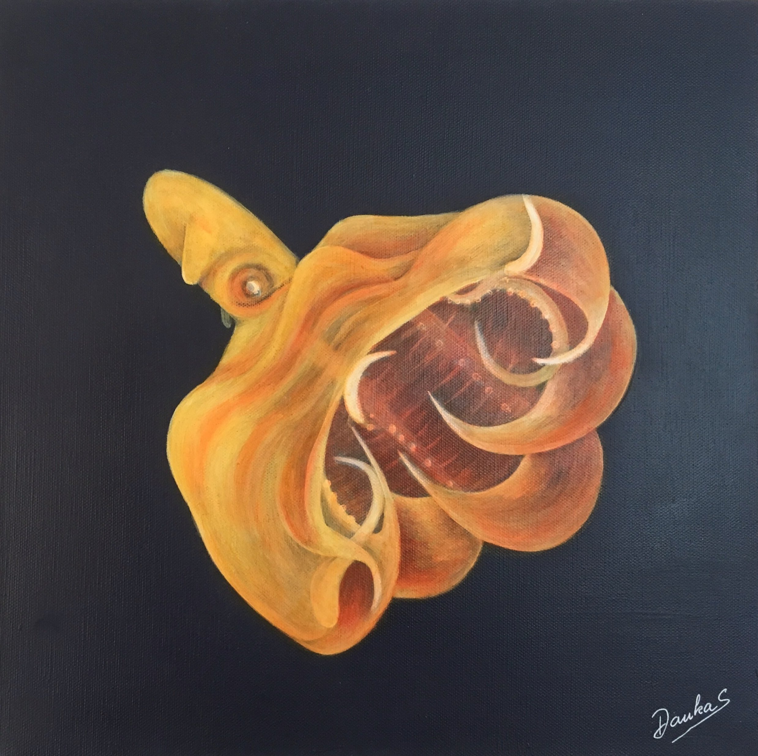 Vampir Oktopus
40x40 Mischtechnik