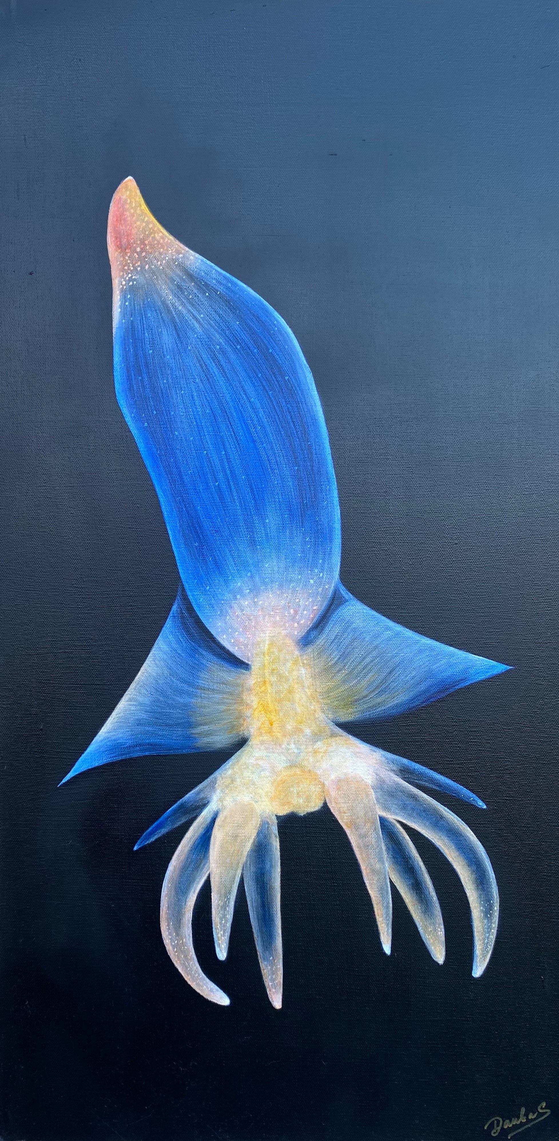 Jelly Alien
40x80 Mischtechnik