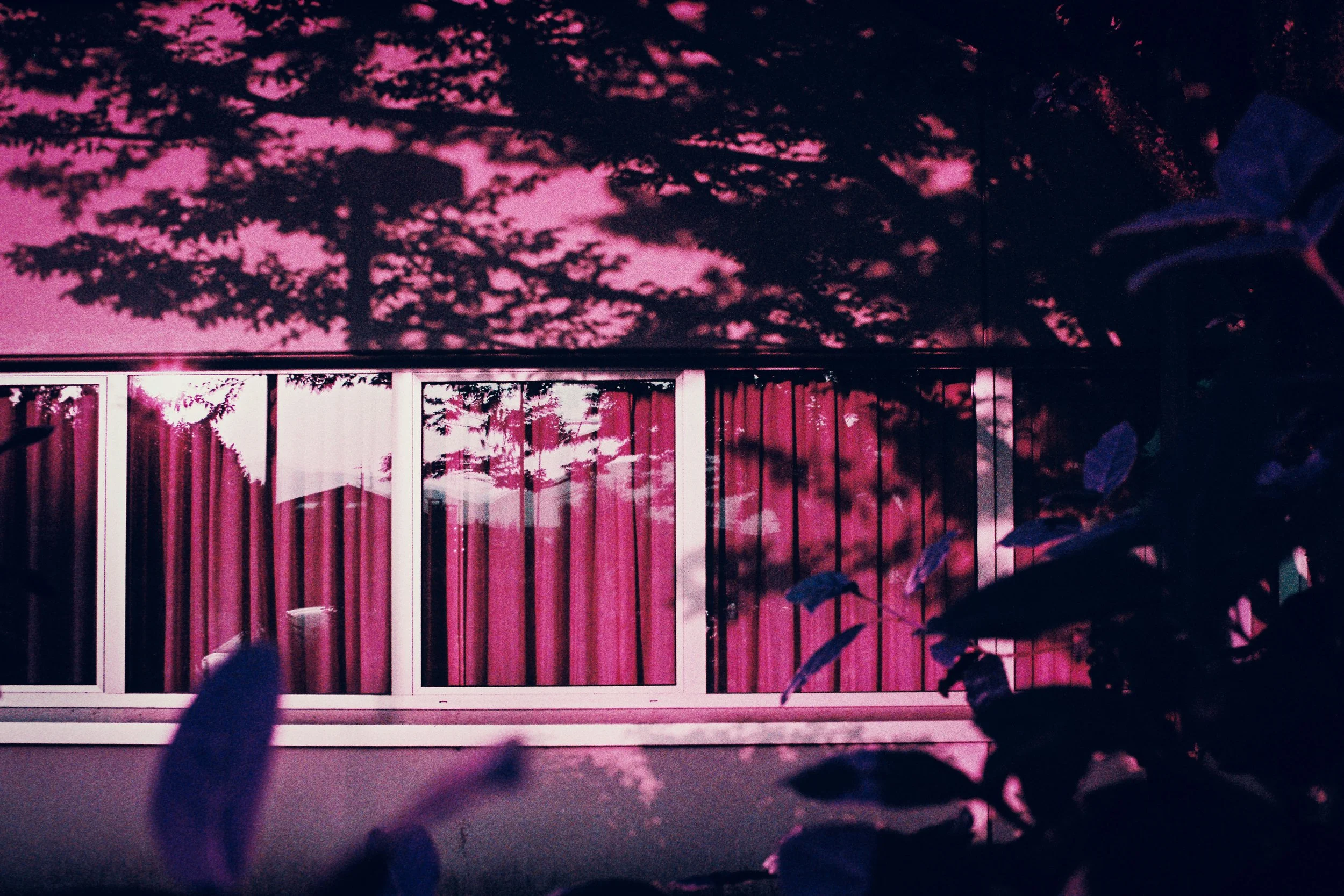 Facciata di edificio con vetrata e tende fotografata con LomoChrome Purple Lomography