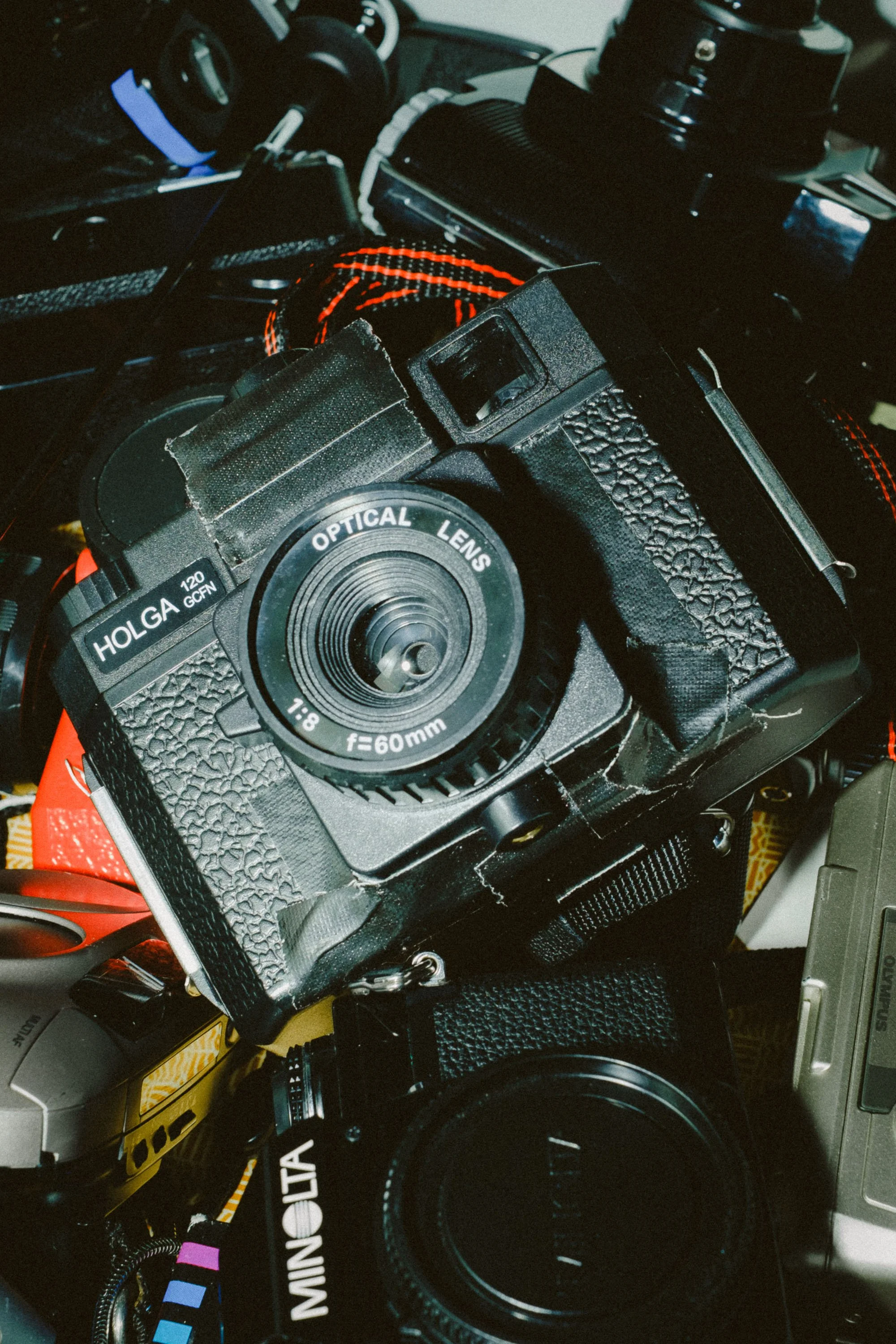 Holga 120: quando l'imperfezione diventa uno stile fotografico