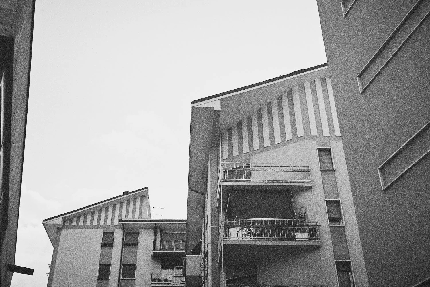 000019.jpg