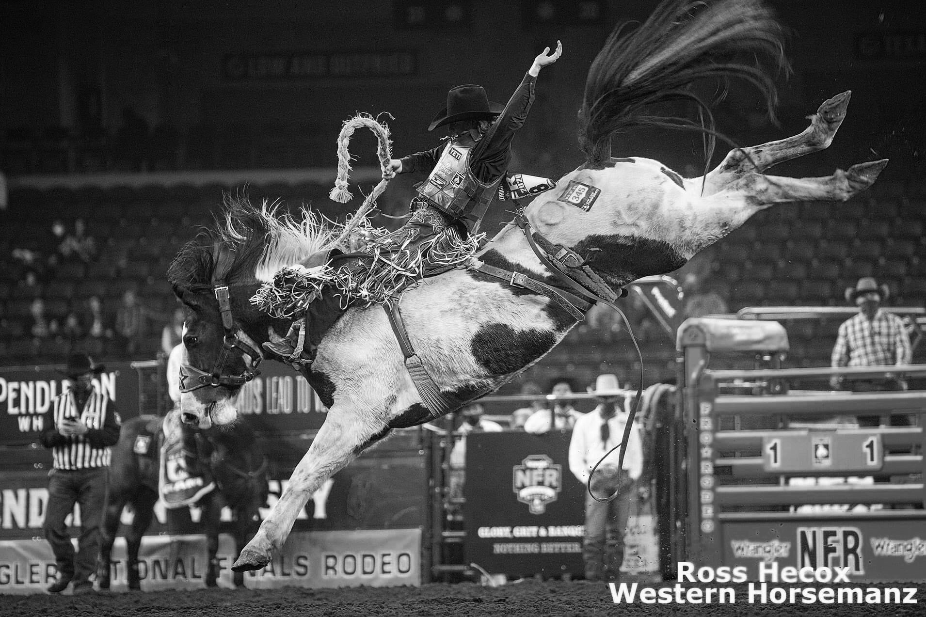 Championship Pro Rodeo