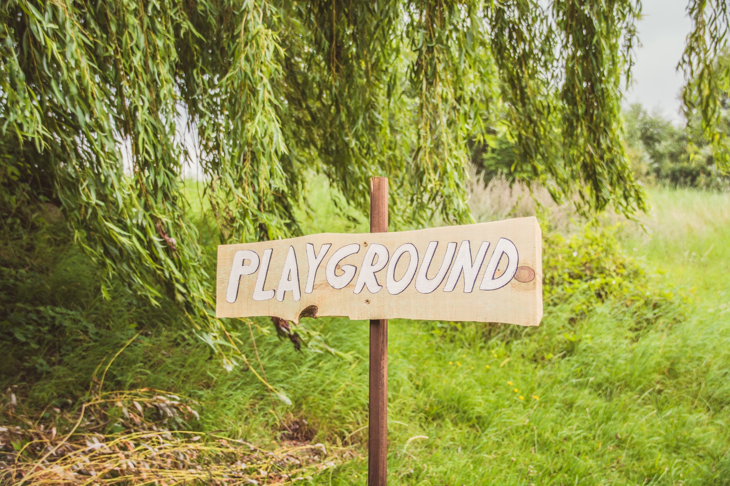 Playdate With A Purpose
