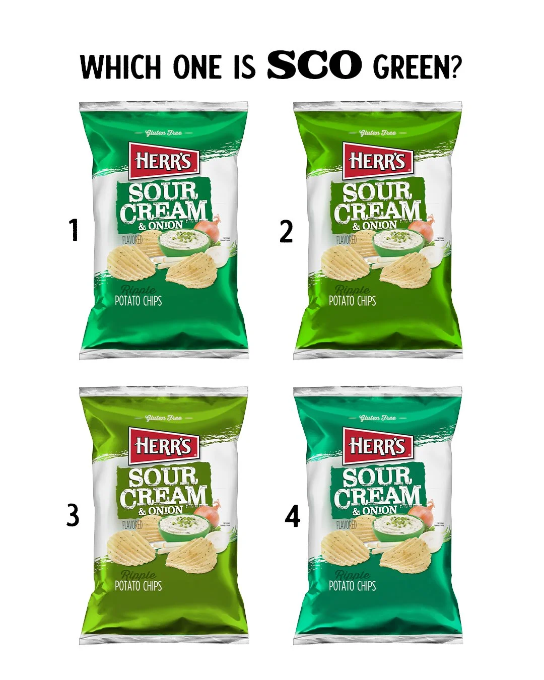 SCO GReen.jpg