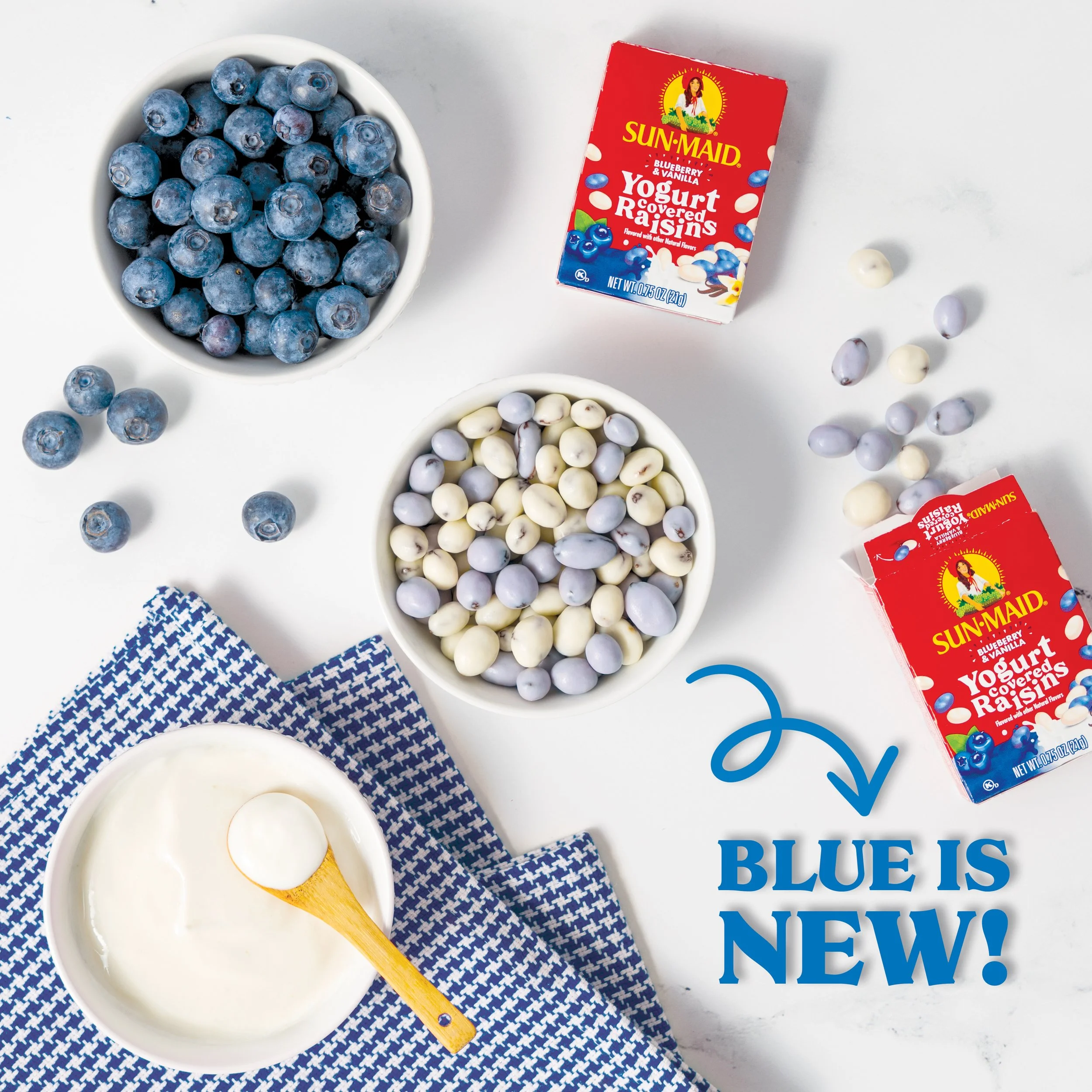 SUN-0336_Blueberyy_vanilla_Raisins_v3 (1).jpg