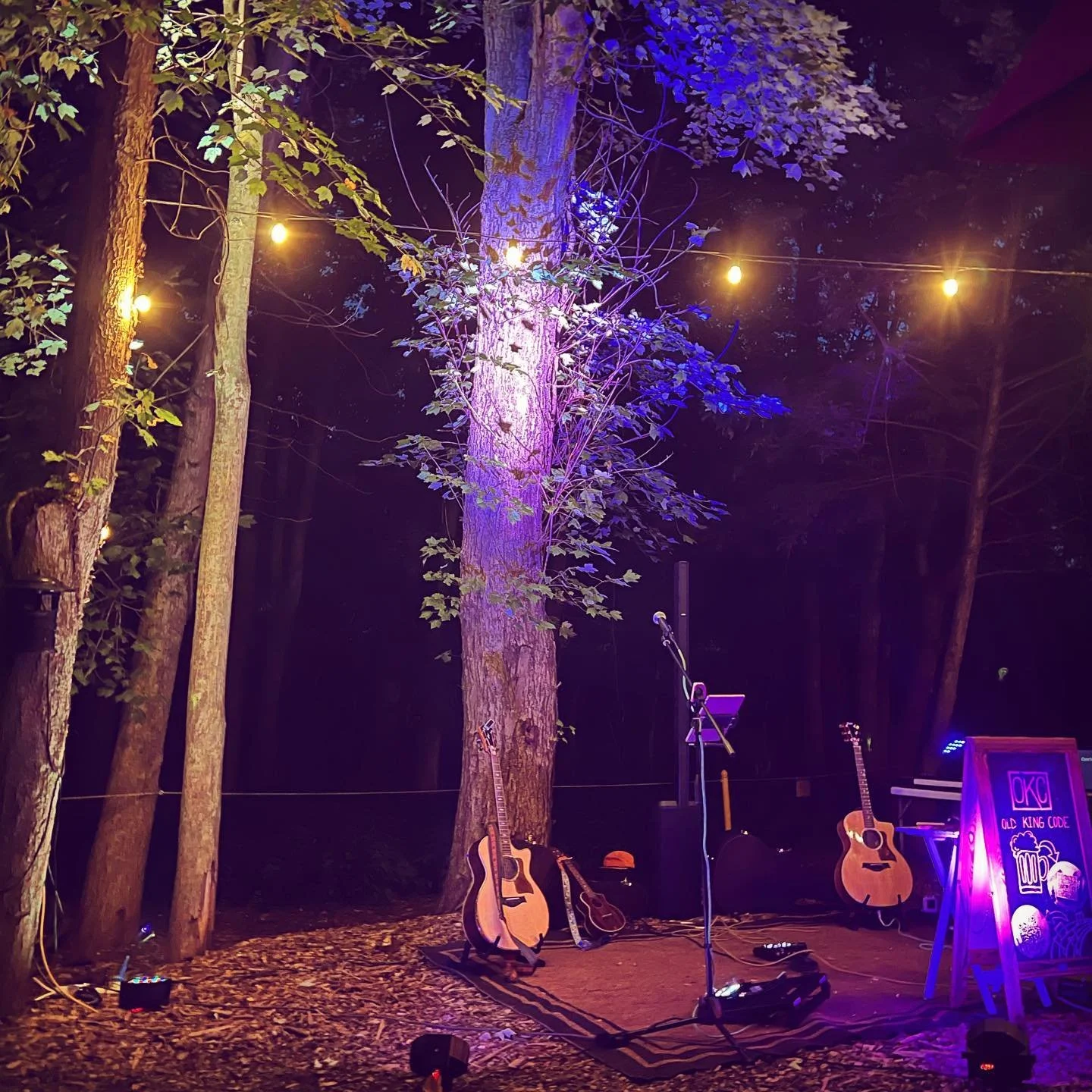 🌲every forest needs a carpet