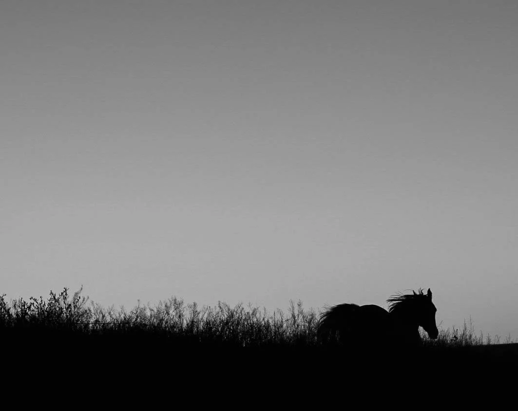 Running Into the New Year.jpg