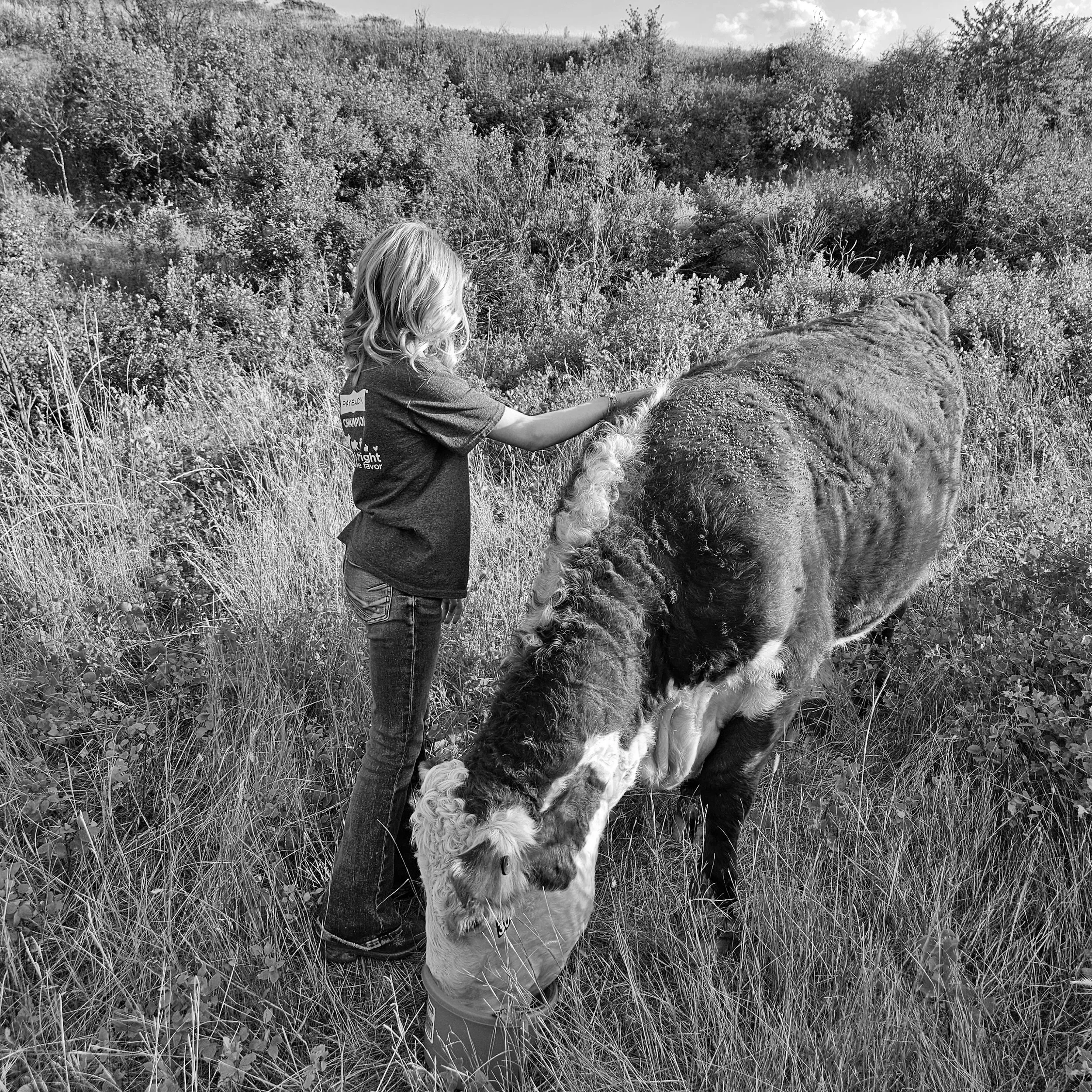 Heifers, Jr Hi, Motherhood (1).jpg
