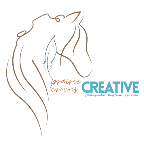 Prairie Crocus Creative