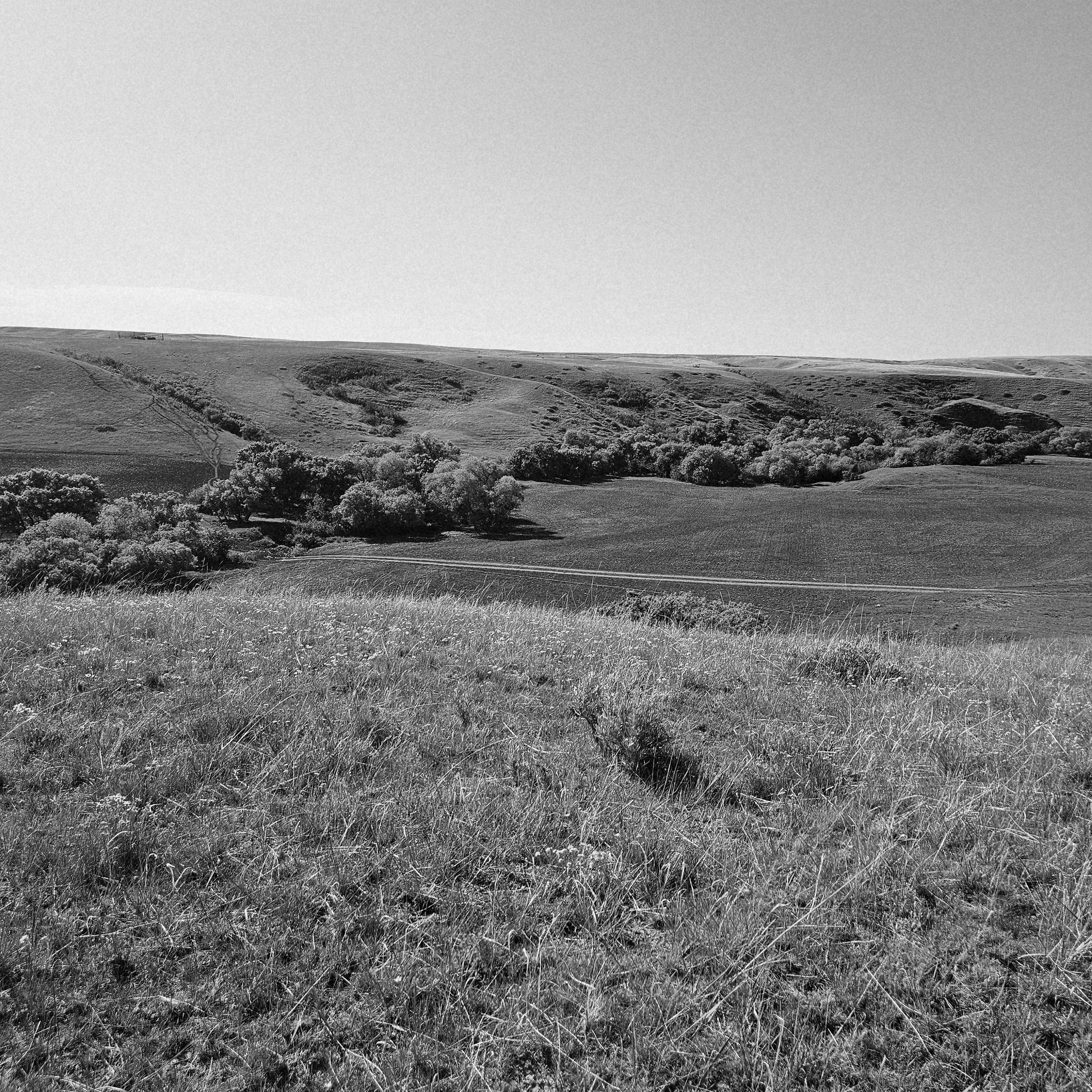 20250526_171351.jpg