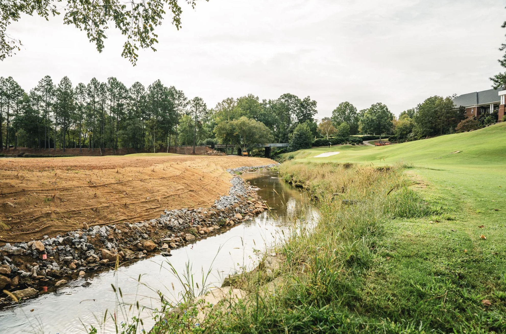 Native Buffer Zones for Stormwater Ponds