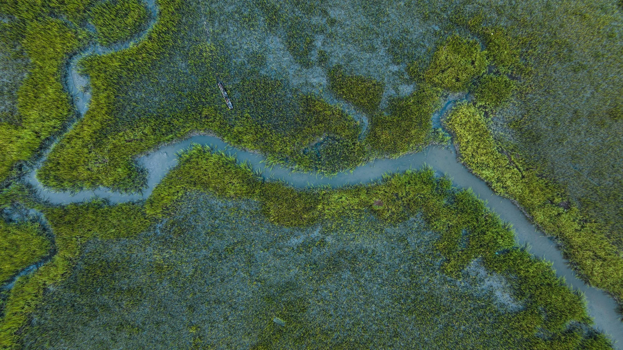 Stormwater Compliance Across South Carolina, North Carolina, Georgia &amp; Florida