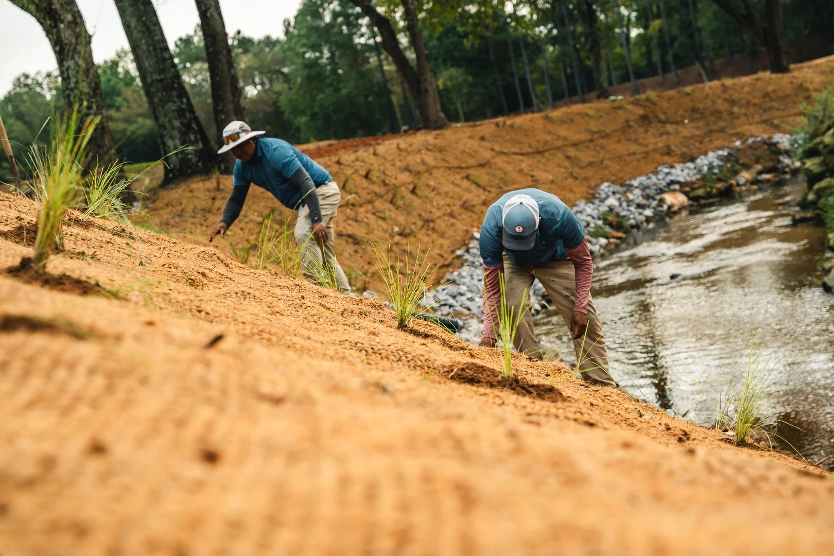 Two people planting grass along a riverbank in a forested area.