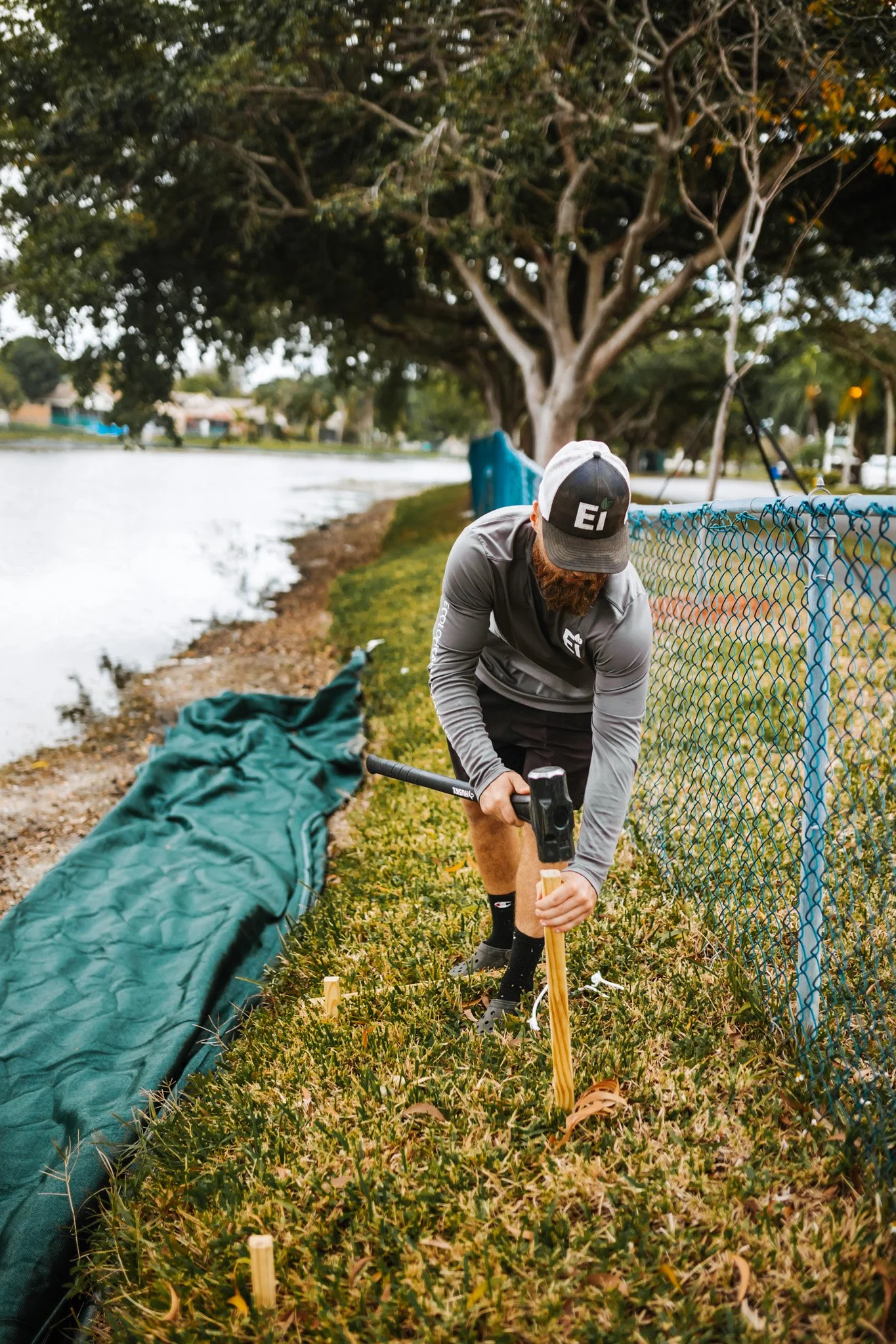 A man planting a wooden stake into the ground alongside a blue chain-link fence near a pond, with trees in the background.