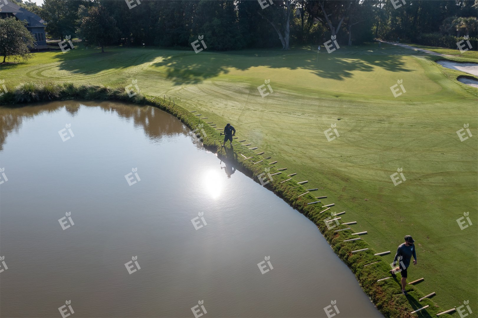 Two people walk along the edge of a pond on a golf course. One is in the water, the other on the grass. The sun reflects on the pond's surface, creating a bright spot.