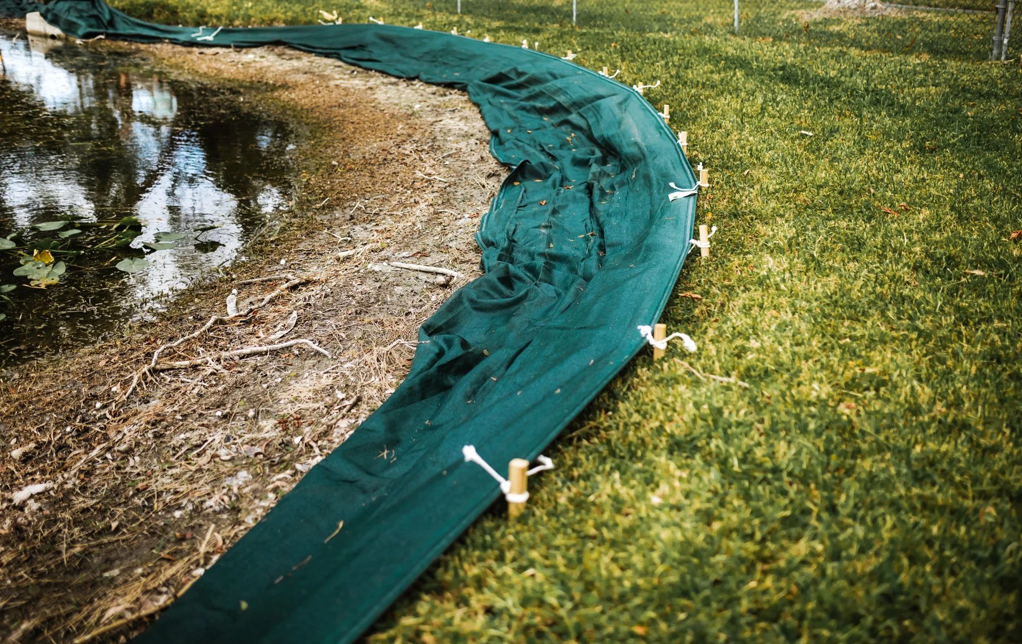 A flexible green pond liner or barrier laid along the edge of a pond or water feature, secured with white plastic clips, with water, plants, and roots visible on the pond side.