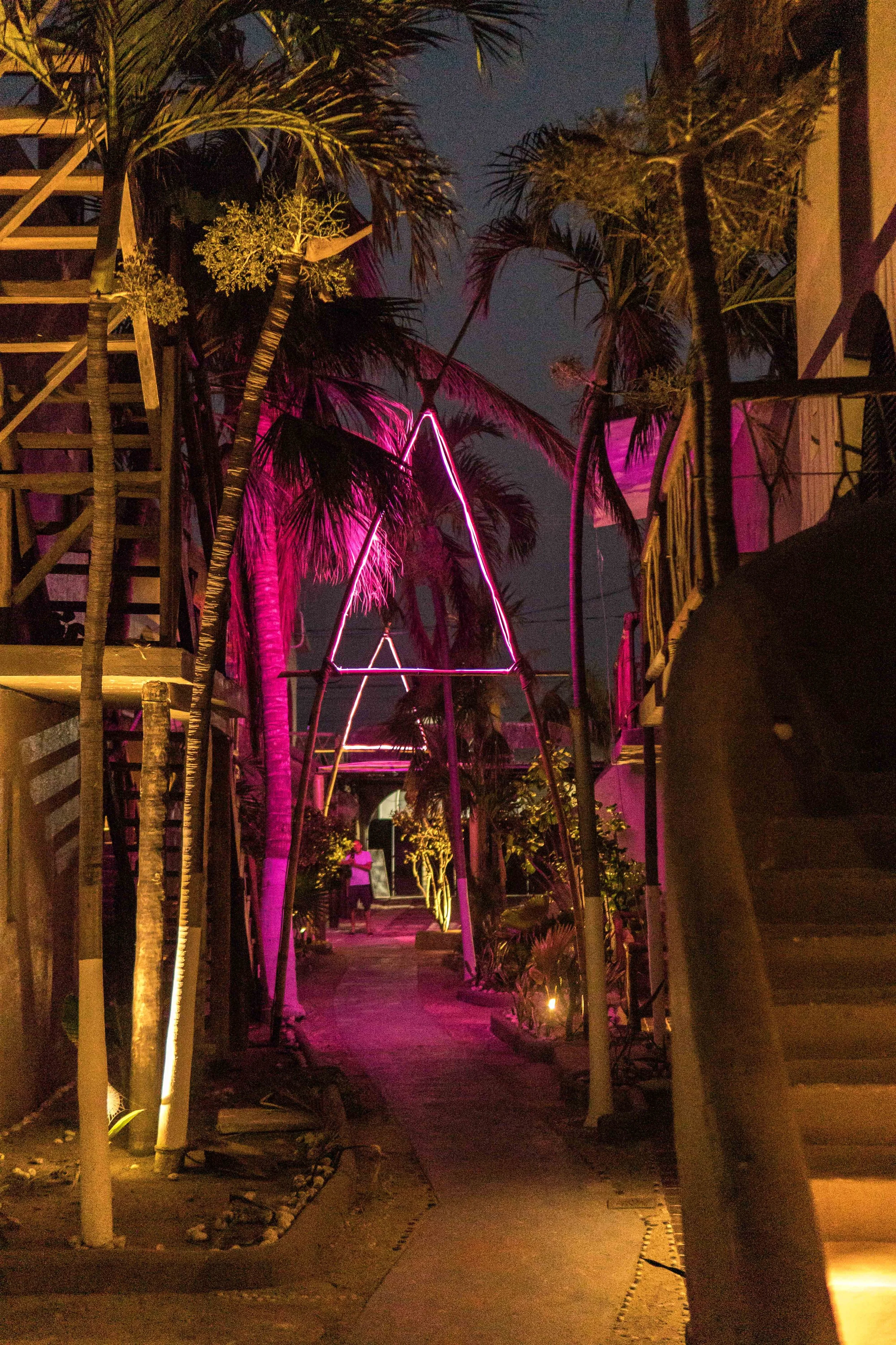Caminito con palmeras y estructura de iluminación en forma de triángulo iluminada con neón rosa, durante la noche. hotel baxar pie de la cuesta 