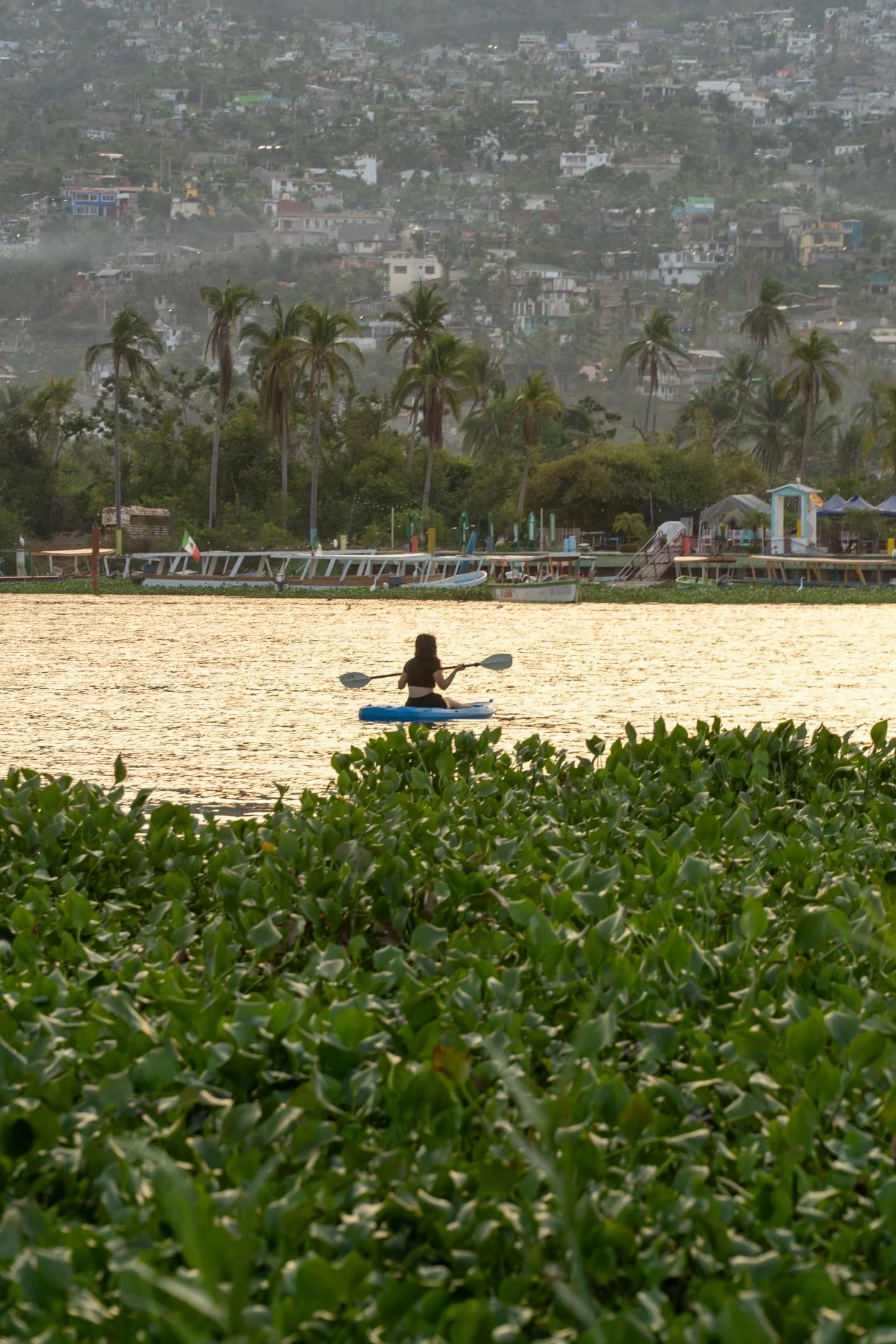 Persona en kayak en un lago con vegetación en primer plano, palmeras en medio, y una ciudad sobre colinas en el fondo durante atardecer. Laguna de Coyuca - Playa Pie de la Cuesta, Acapulco, Hotel baXar
