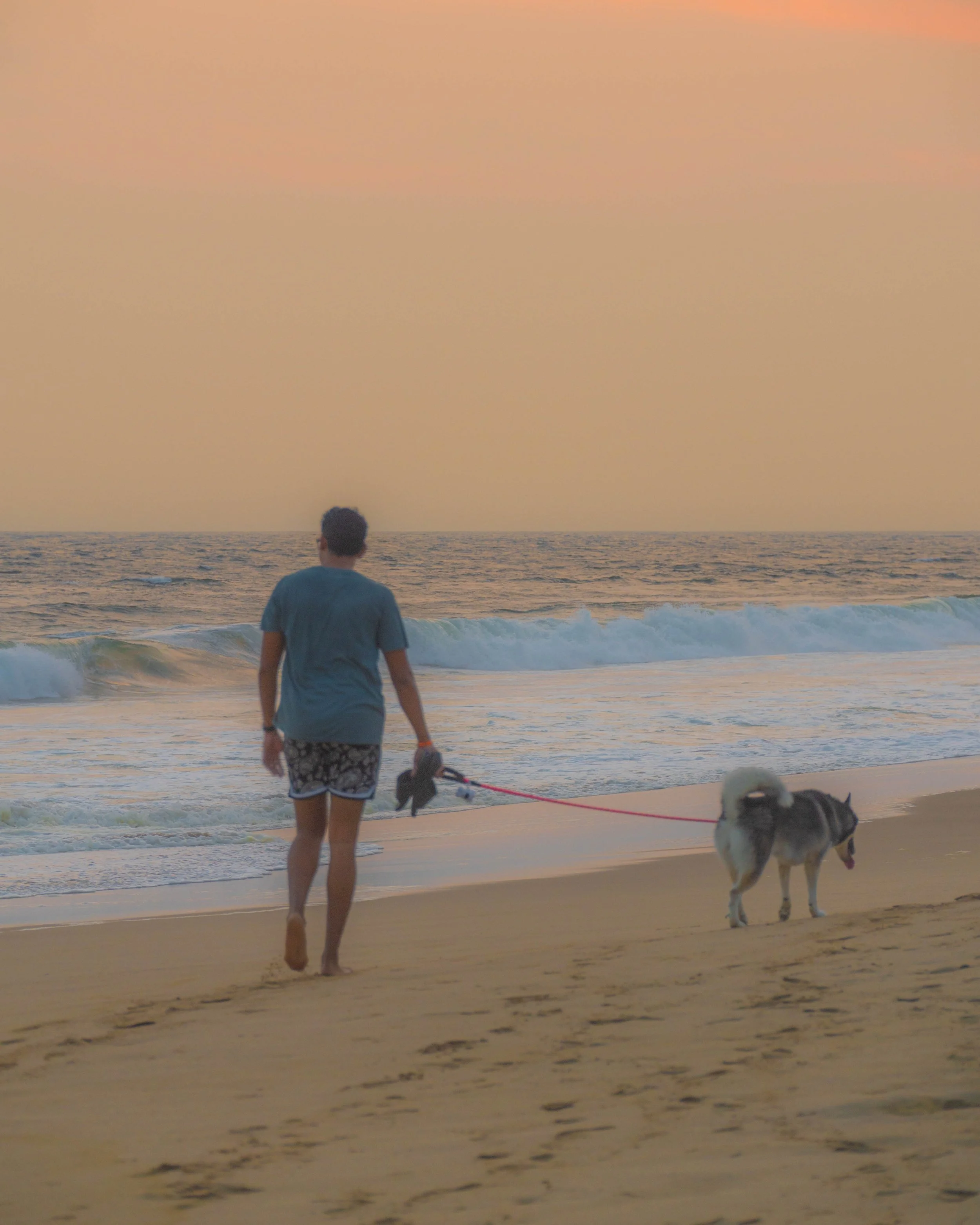Persona caminando en la playa con un perro husky durante la puesta de sol en la costa.  club de playa pie de la cuesta, hotel boutique baXar acapulco