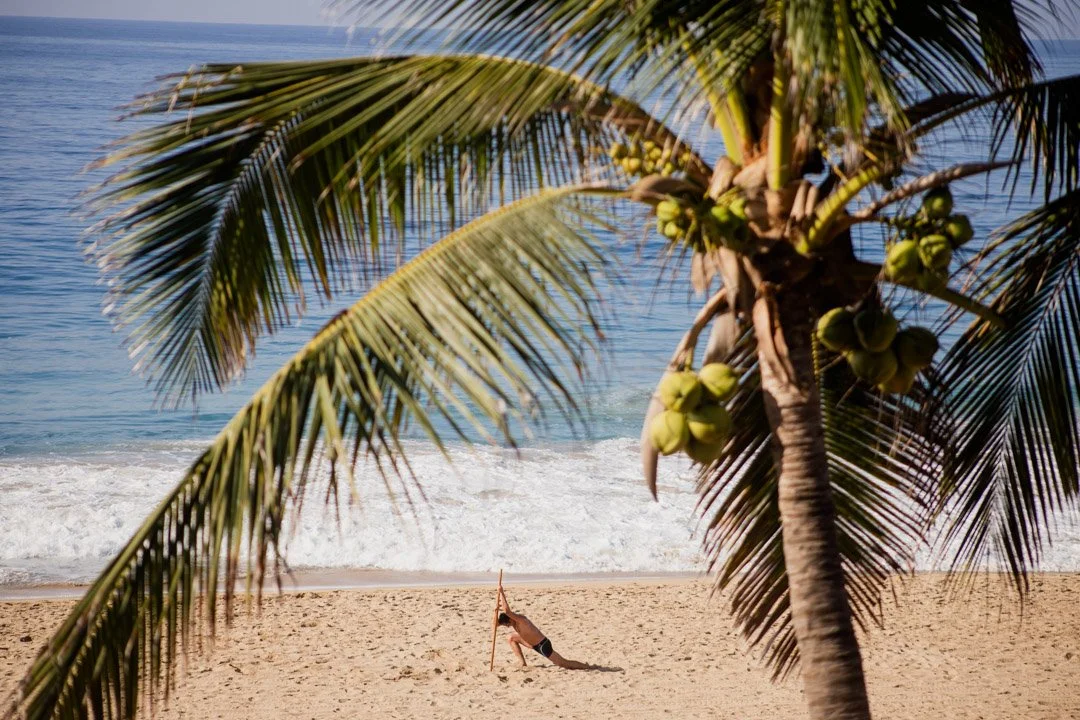 Palmera con cocos en la playa, vista al mar, persona haciendo yoga en la arena. Playa Pie de la Cuesta, Acapulco, Hotel baXar