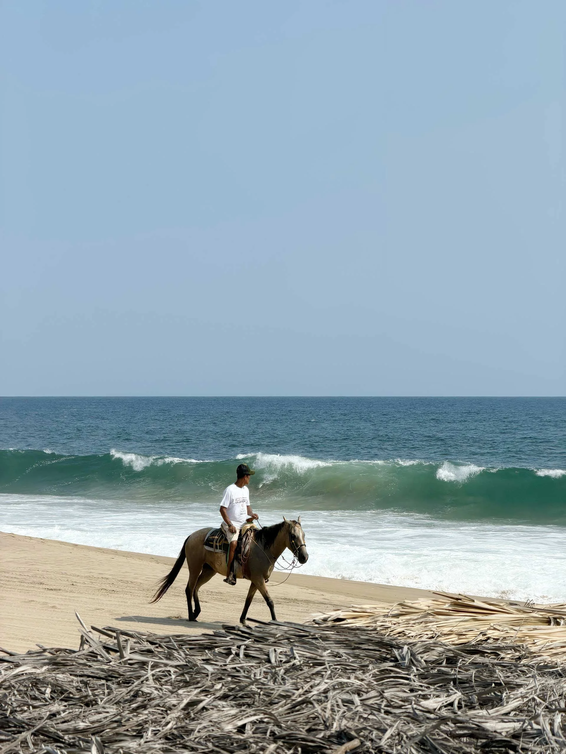 Jinete montando un caballo en la playa, con el mar y el cielo despejado en el fondo. playa pie de la cuesta, acapulco, Hotel boutique baXar 