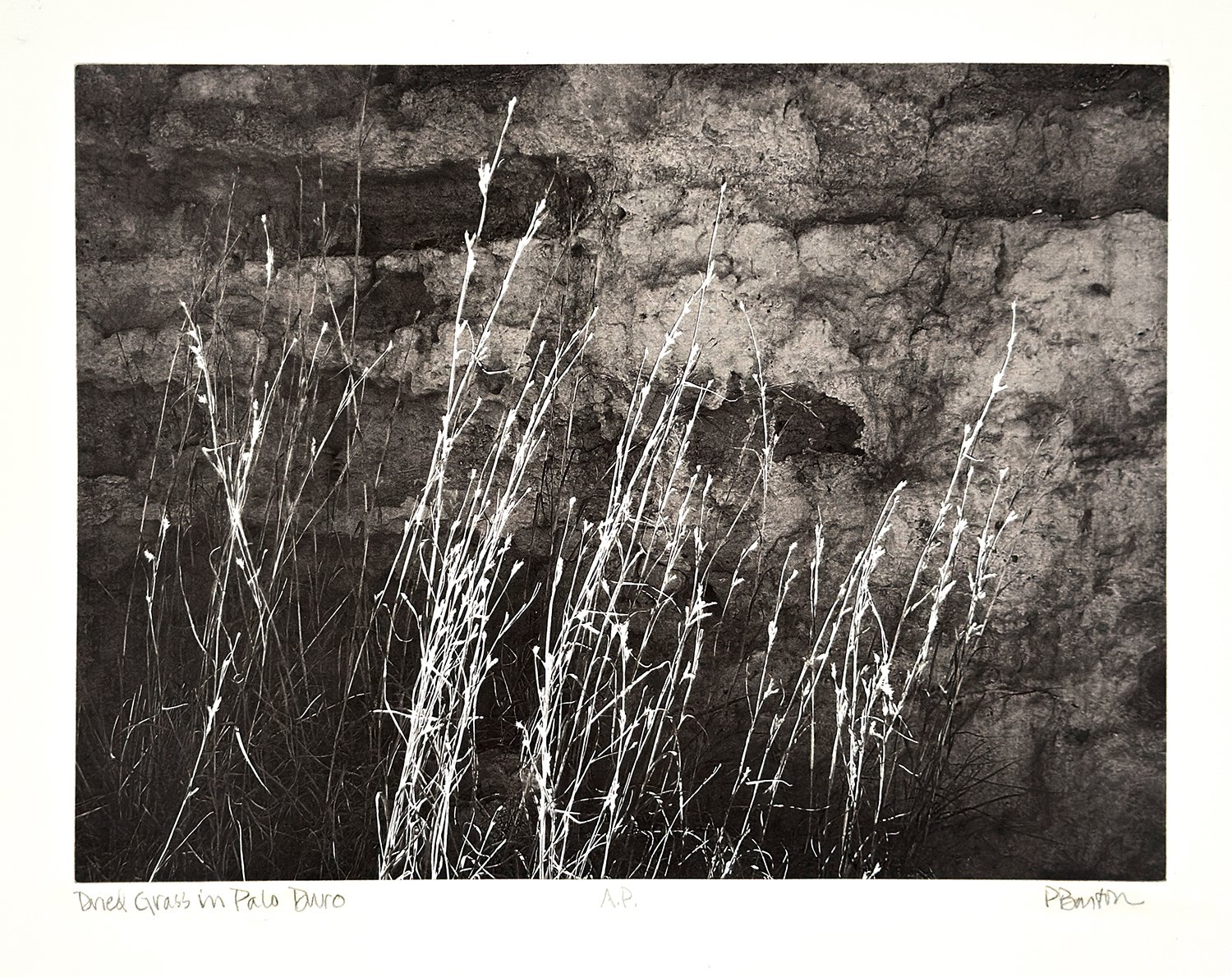 Dried Grass in Palo Duro, photogravure, 9.5 x 12.75 inches